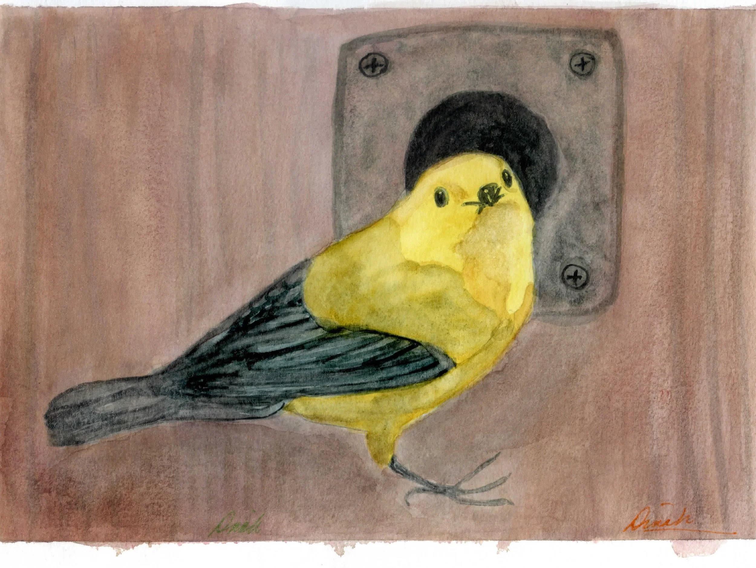 Stewart-Prothonotary8Wx10H003 copy.jpg