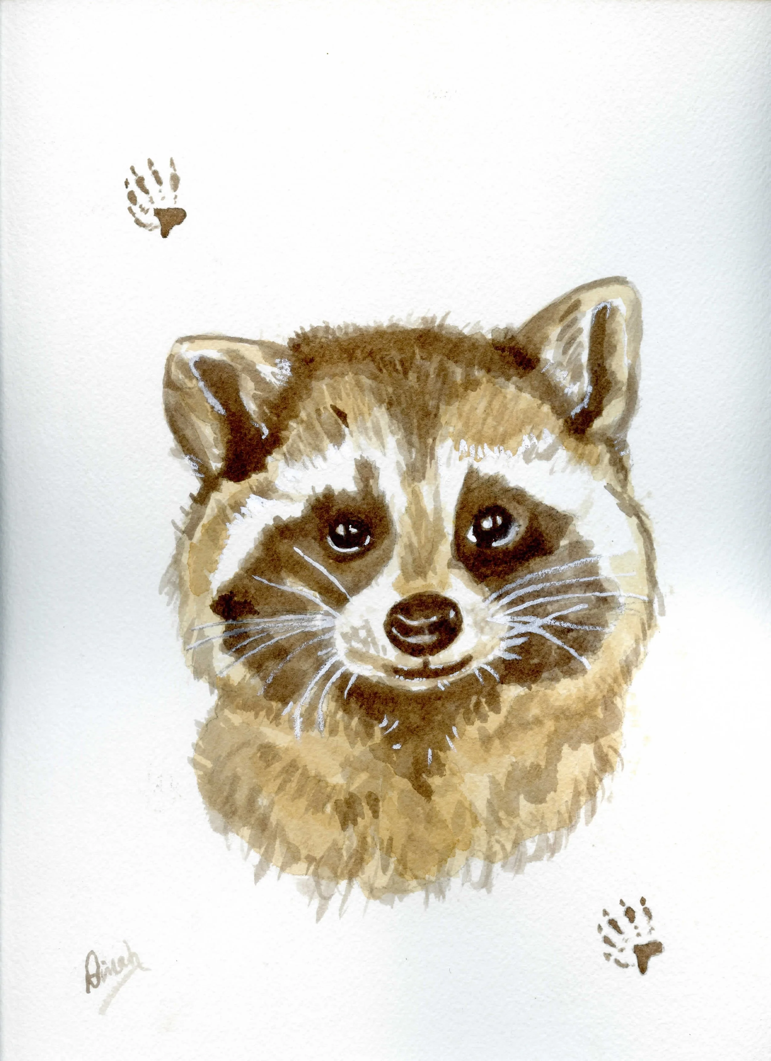 Stewart-Racoon8Wx10H001.jpg