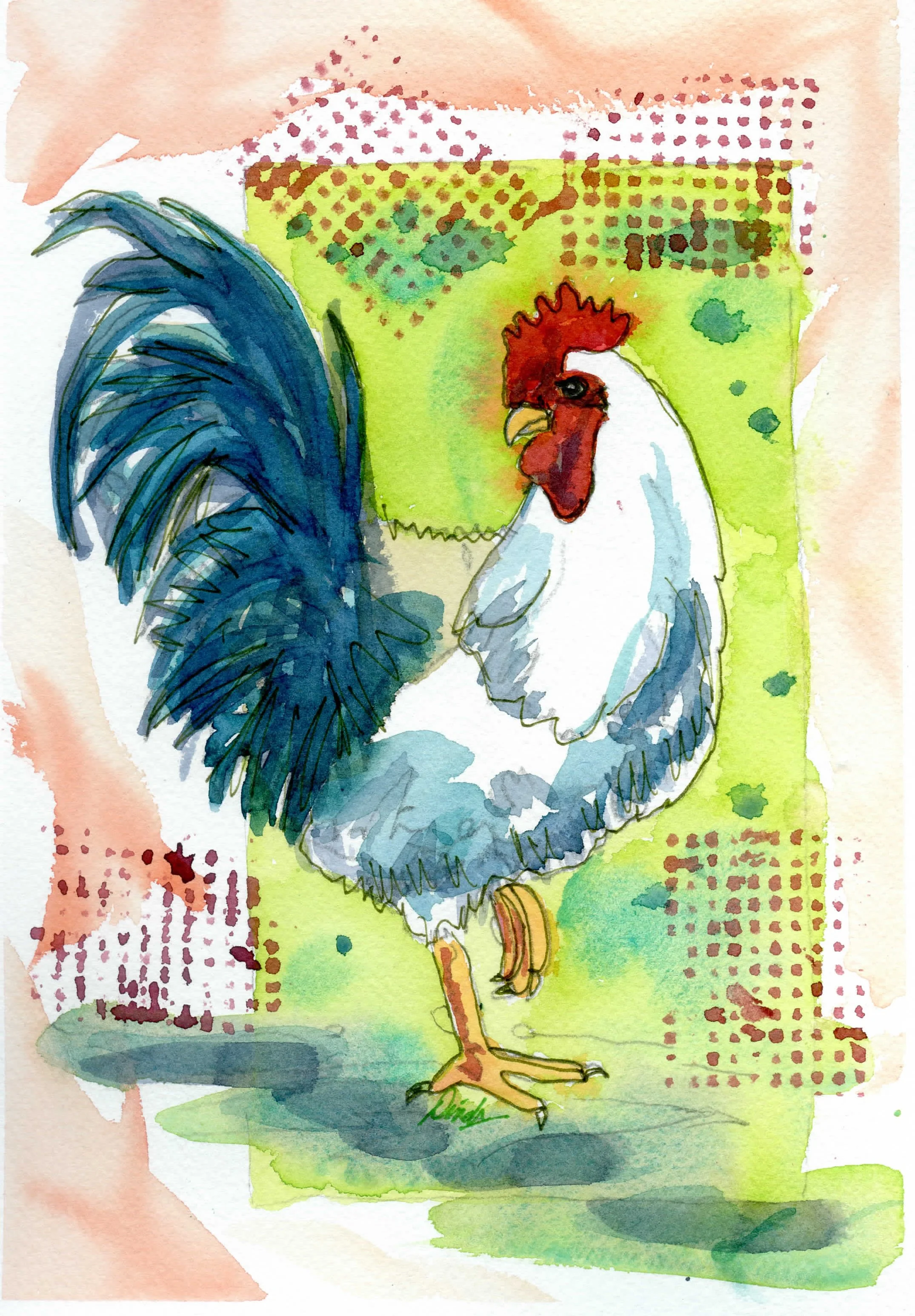 Stewart-Rooster1 8Wx10H004.jpg