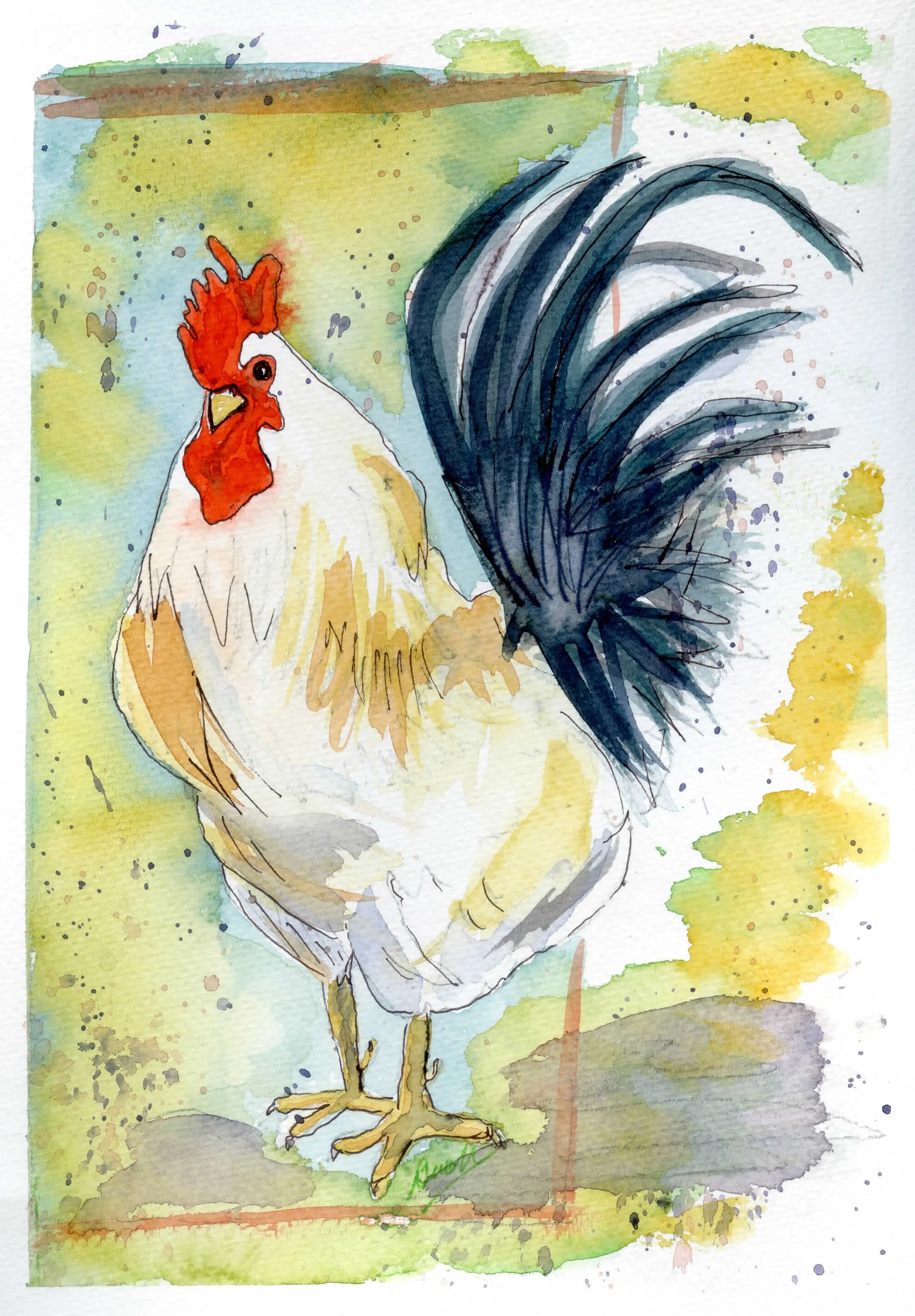 Stewart-Rooster38Wx10H006 copy.jpg