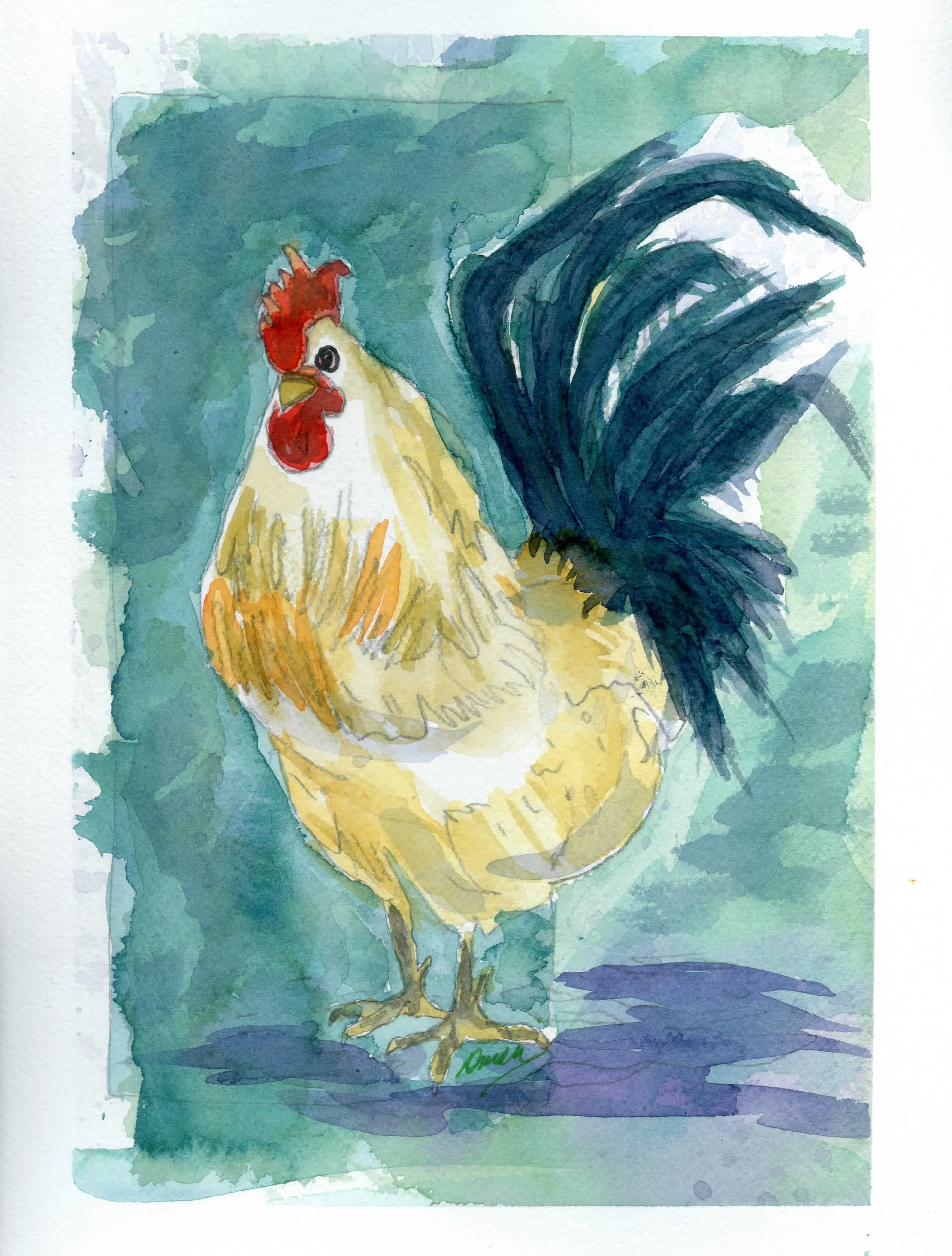 Stewart-Rooster4 8Wx10H007.jpg