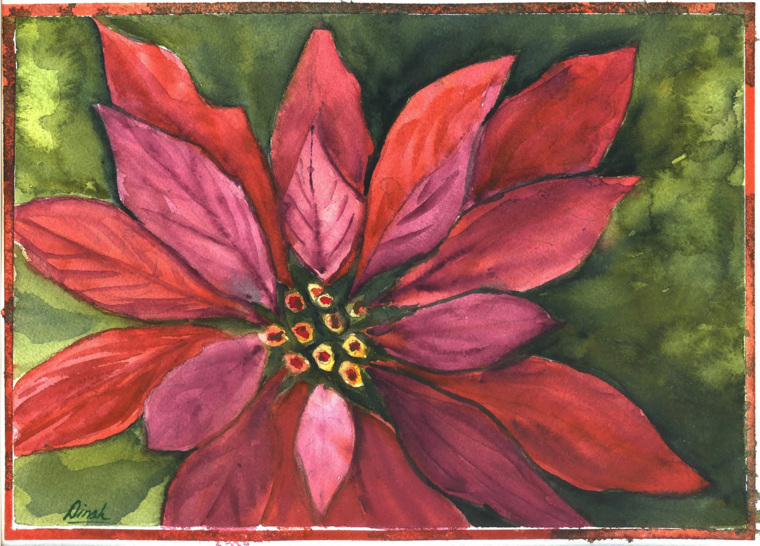 STEWART - POINSETTA CARD, 8 x 10 018.jpg