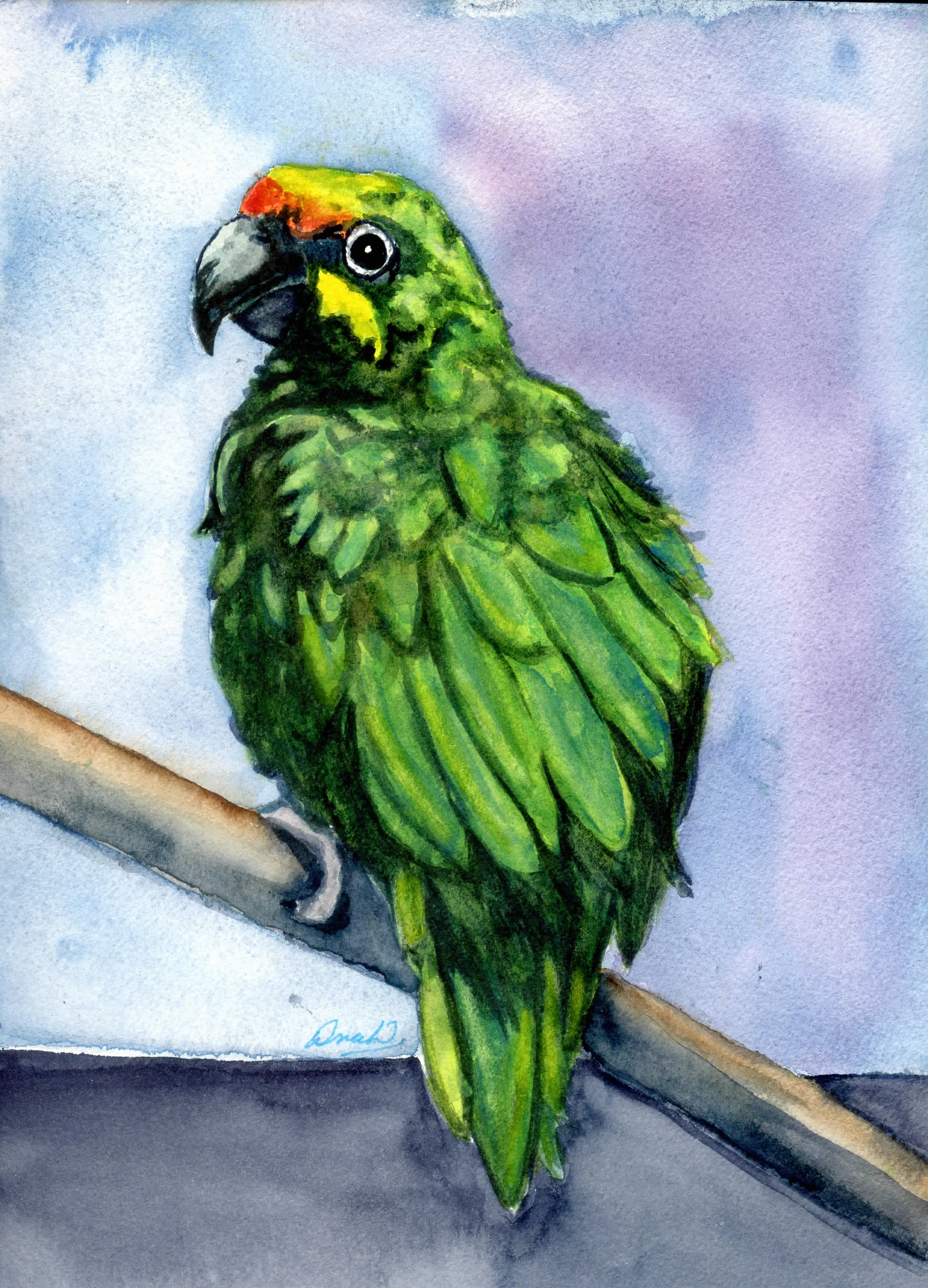 Stewart-Parrot 1 8Wx10H008.jpg
