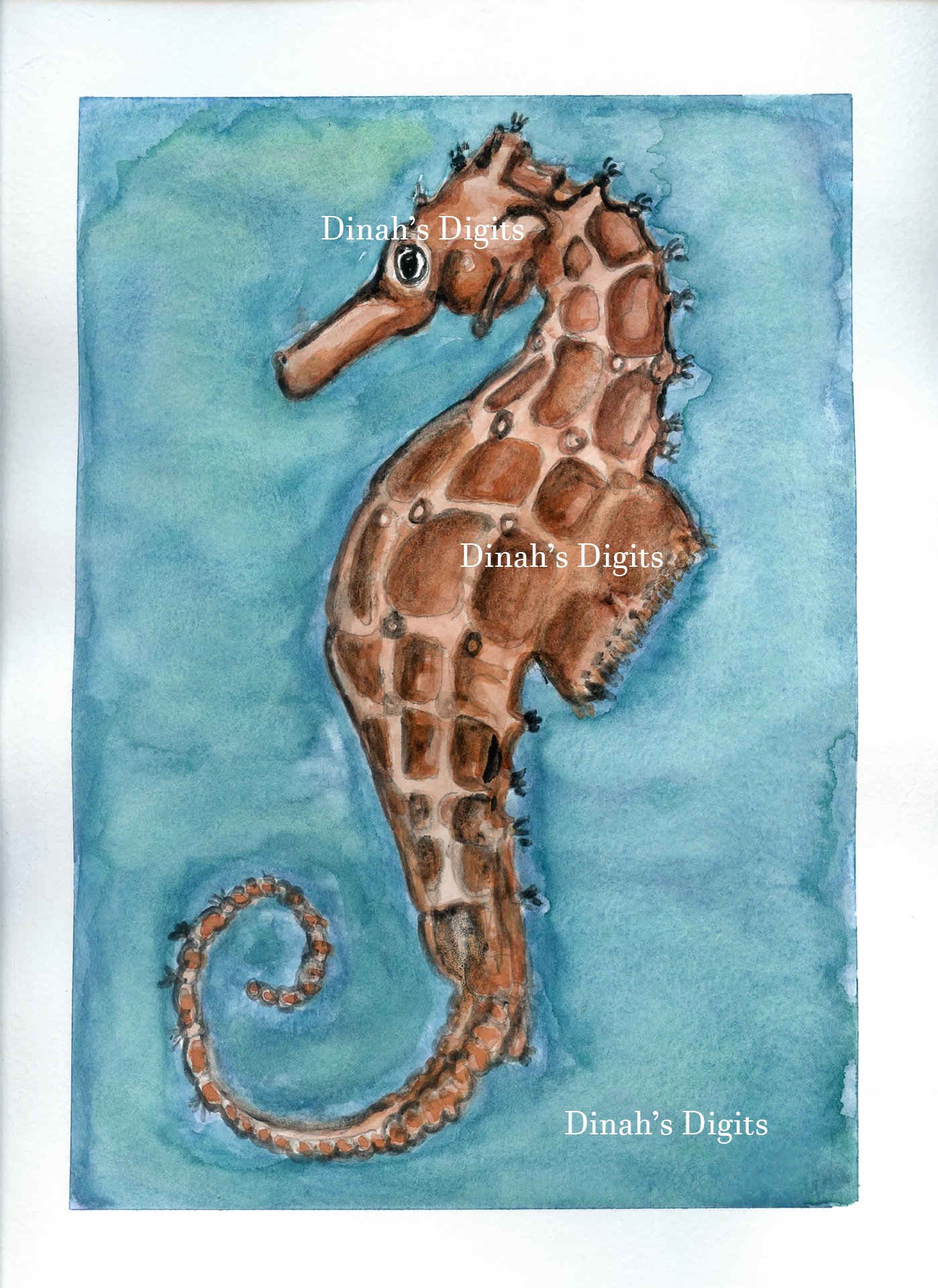 Stewart -  Seahorse 8W x 10 H026 WM.jpg