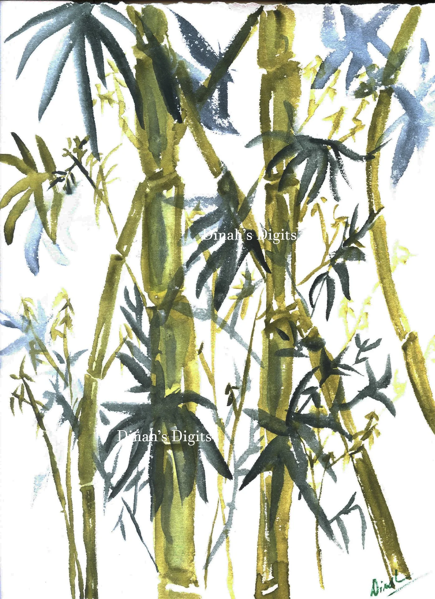 STEWART - BAMBOO DREAMS, 8 x 10 WM.jpg