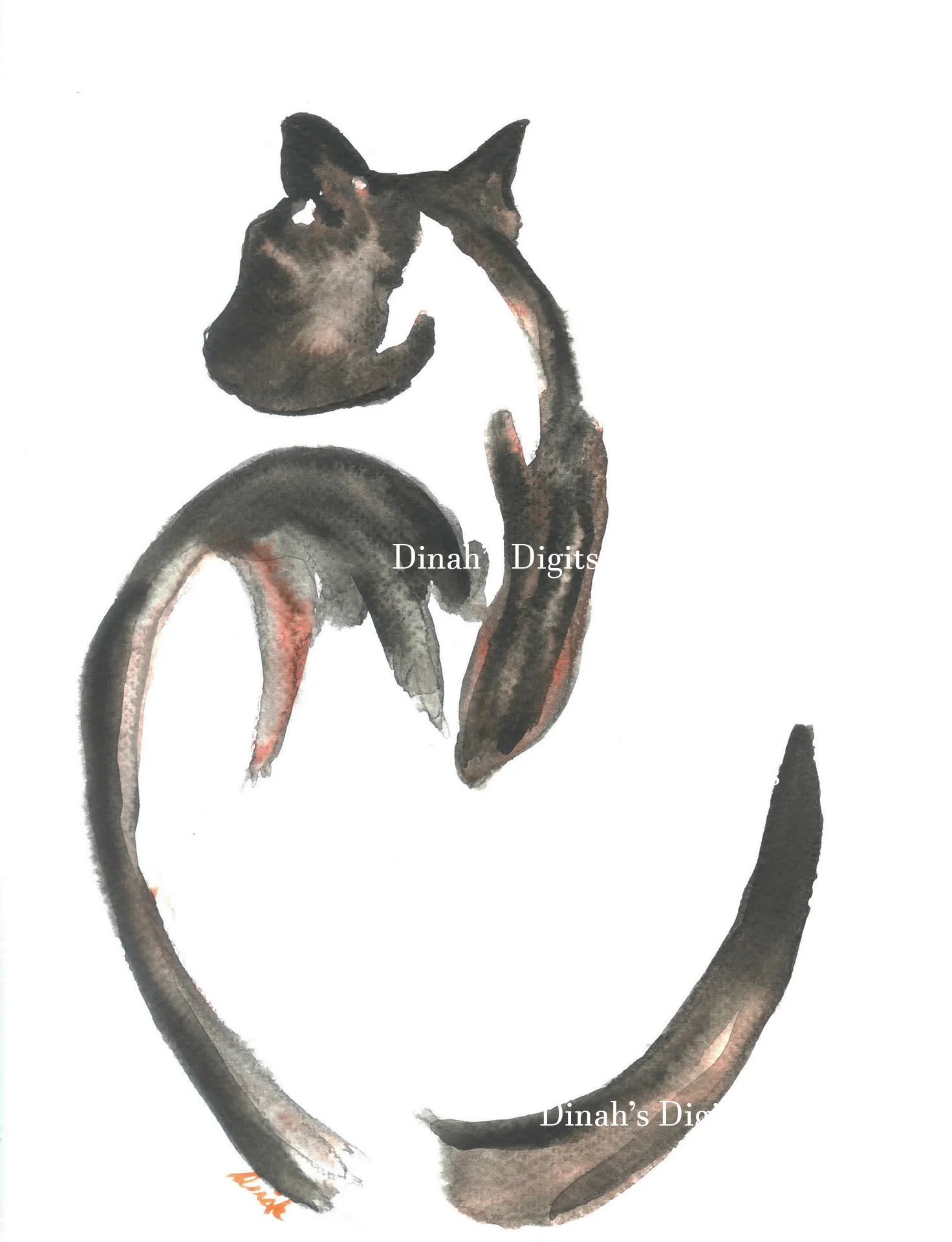 STEWART - CIRCLE  CAT, 8 x 10 WM.jpg