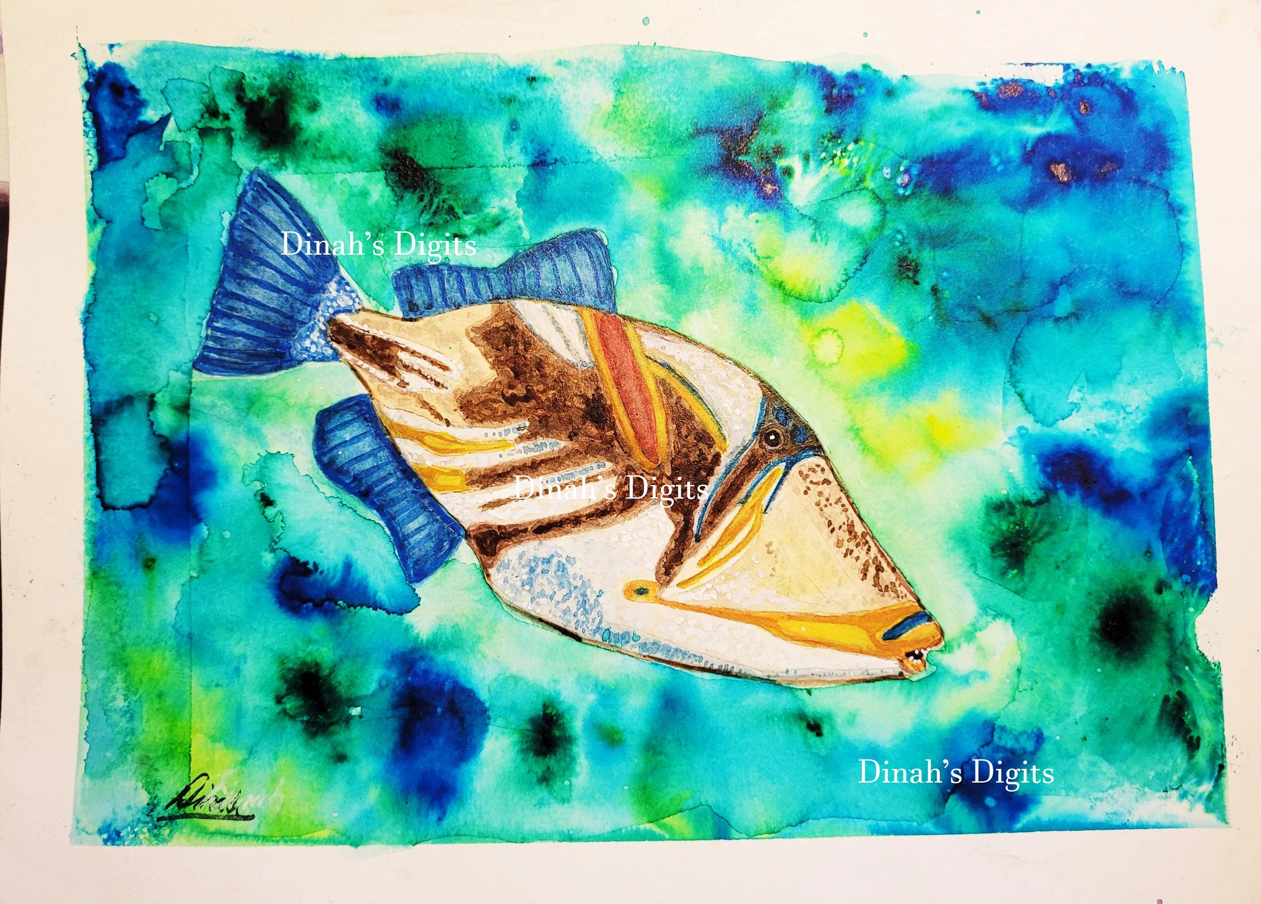 STEWART - HUMUHUMU, 11 X 15 WM.jpg