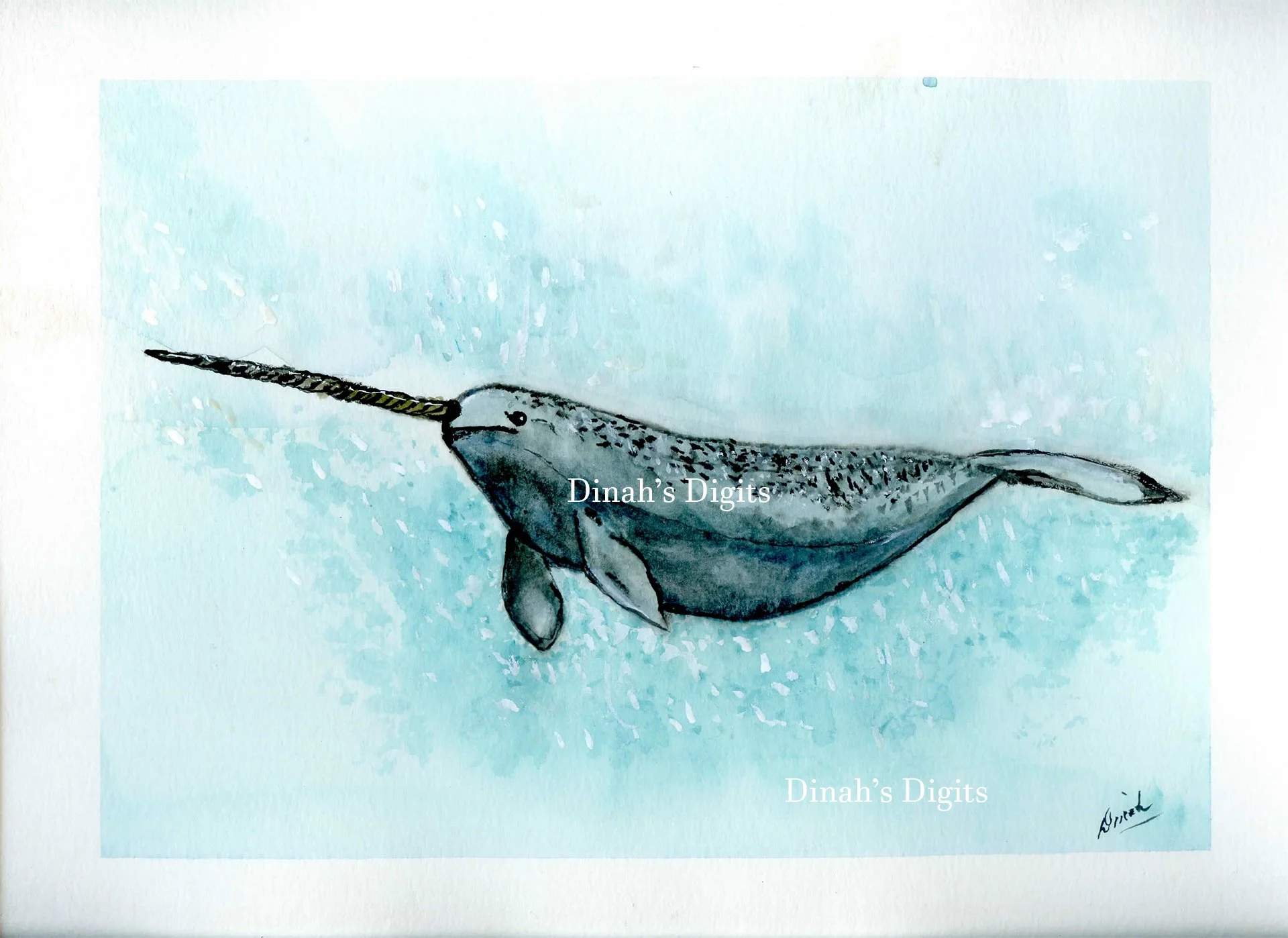 Stewart - Narwhale  8W x 10 WM.jpg