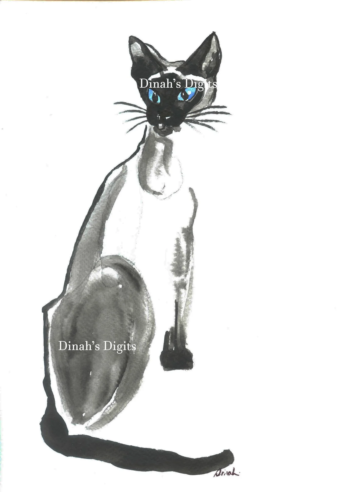STEWART - SIAMESE CAT 1, 8 x 10 WM.jpg