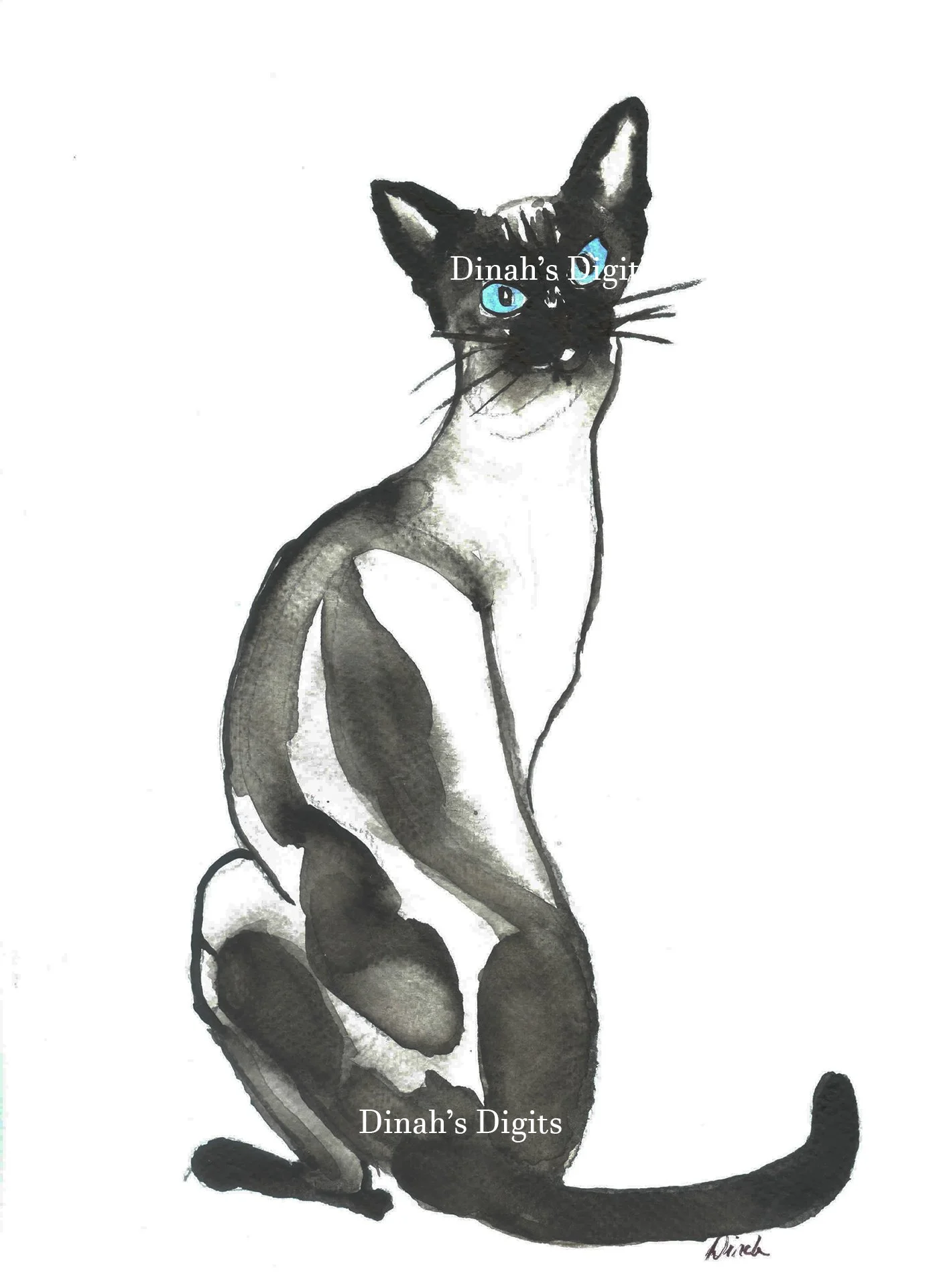 STEWART - SIAMESE CAT 2, 8 x 10 WM.jpg