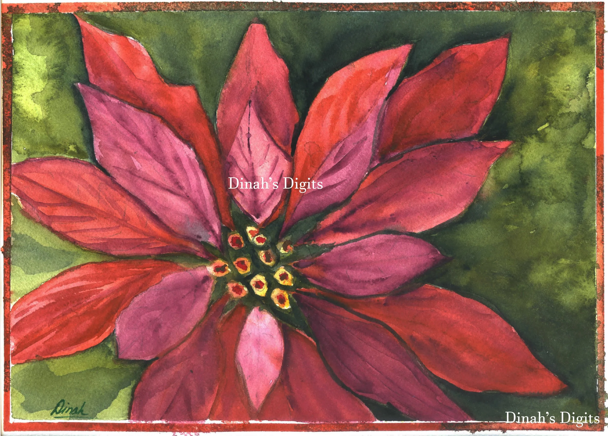 STEWART - POINSETTA CARD, 8 x 10 WM.jpg