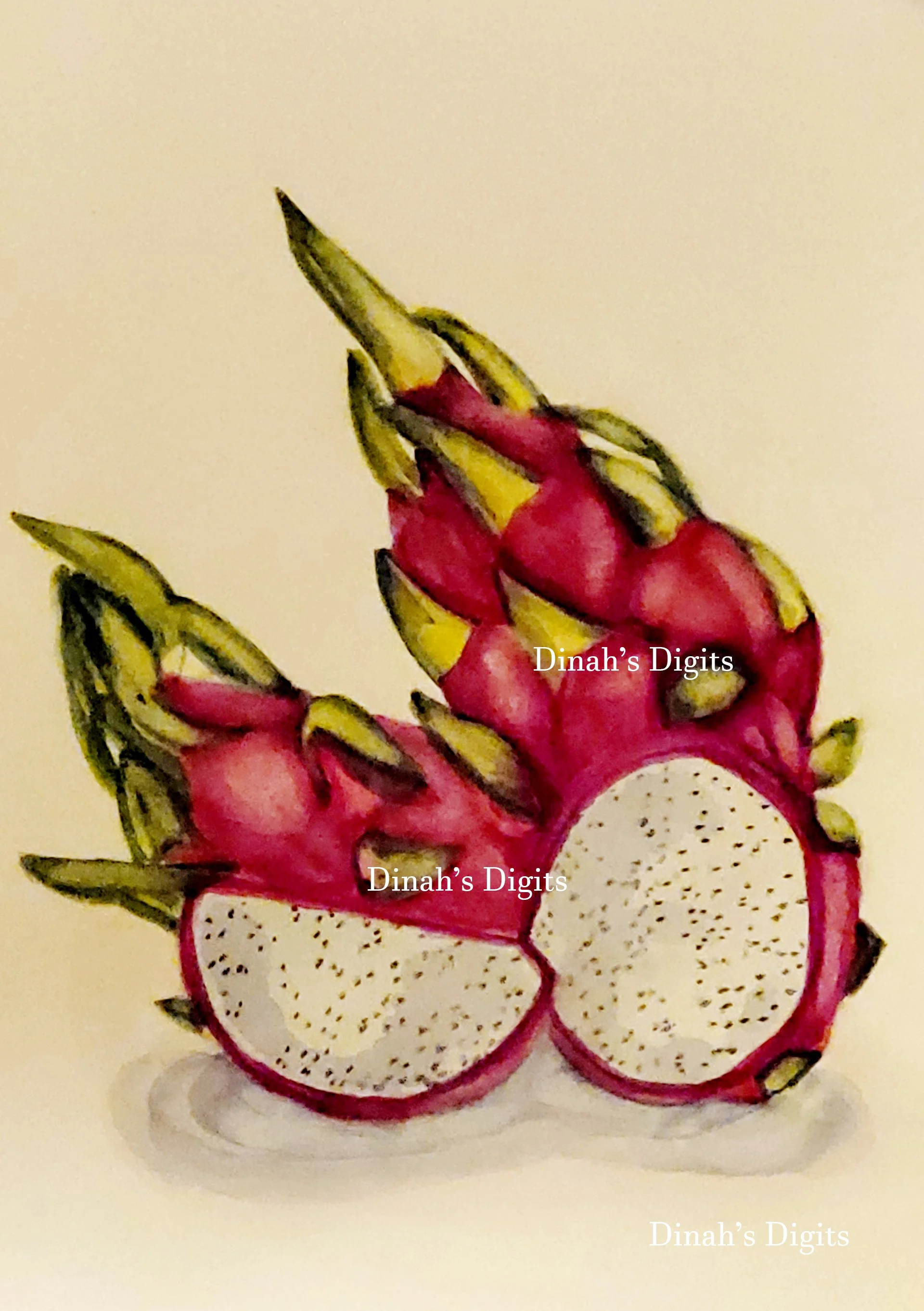 Stewart- Dragonfruit 12W x 17H WM.jpg