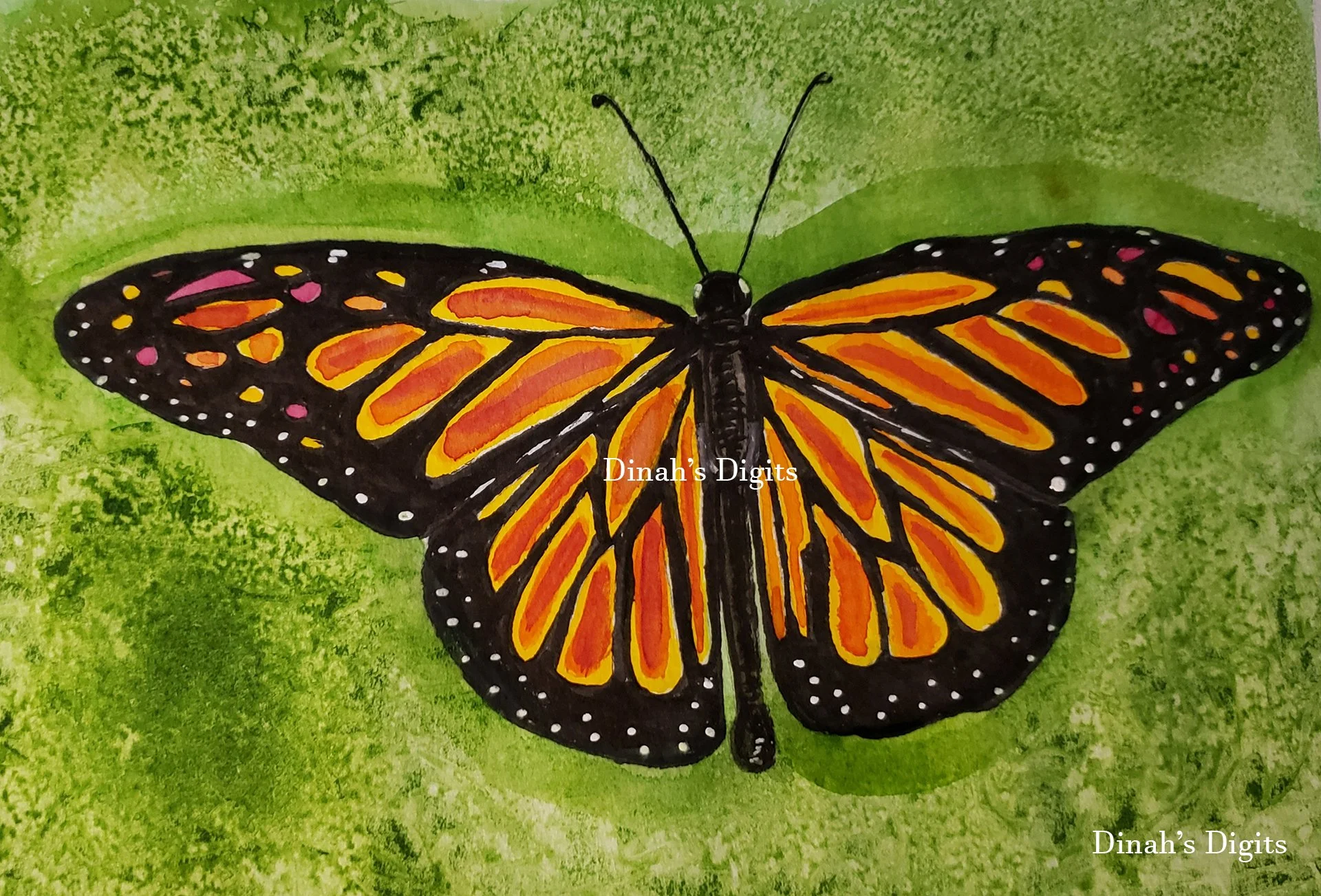 stewart- monarch 8W x 10H WM.jpg