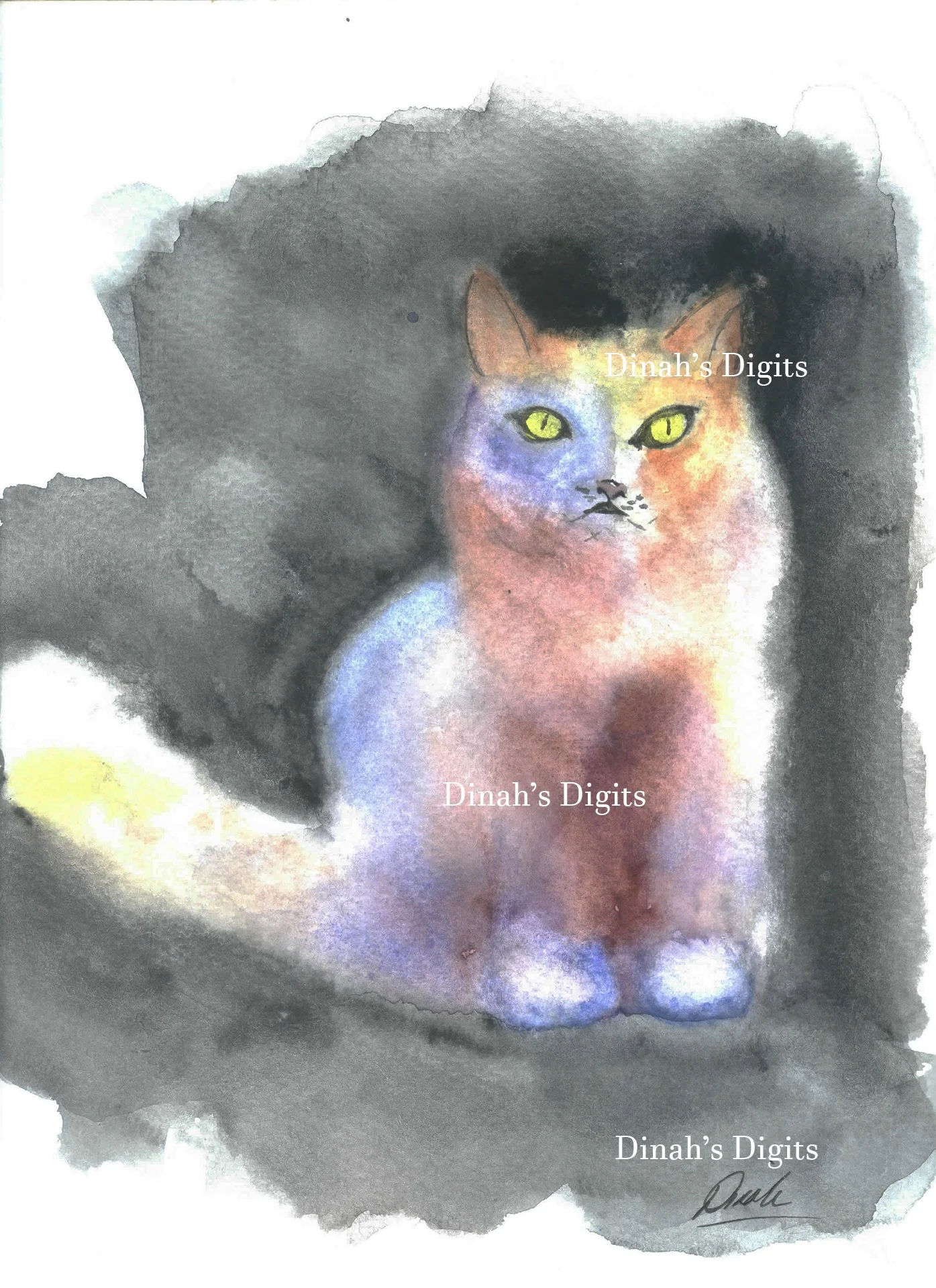 Stewart- Rainbow Kitty , 8 x 10 WM.jpg