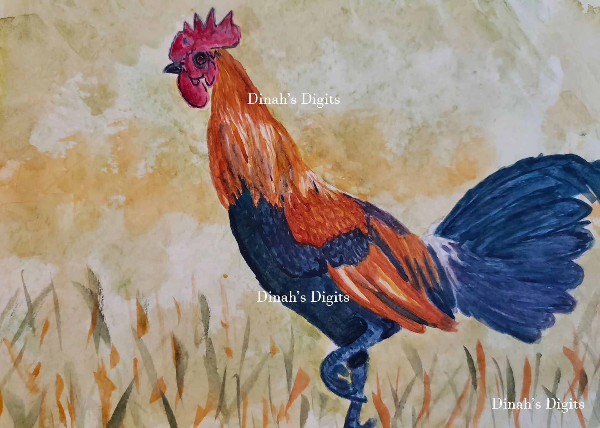 Stewart- Rooster 11W x 8H WM.jpg