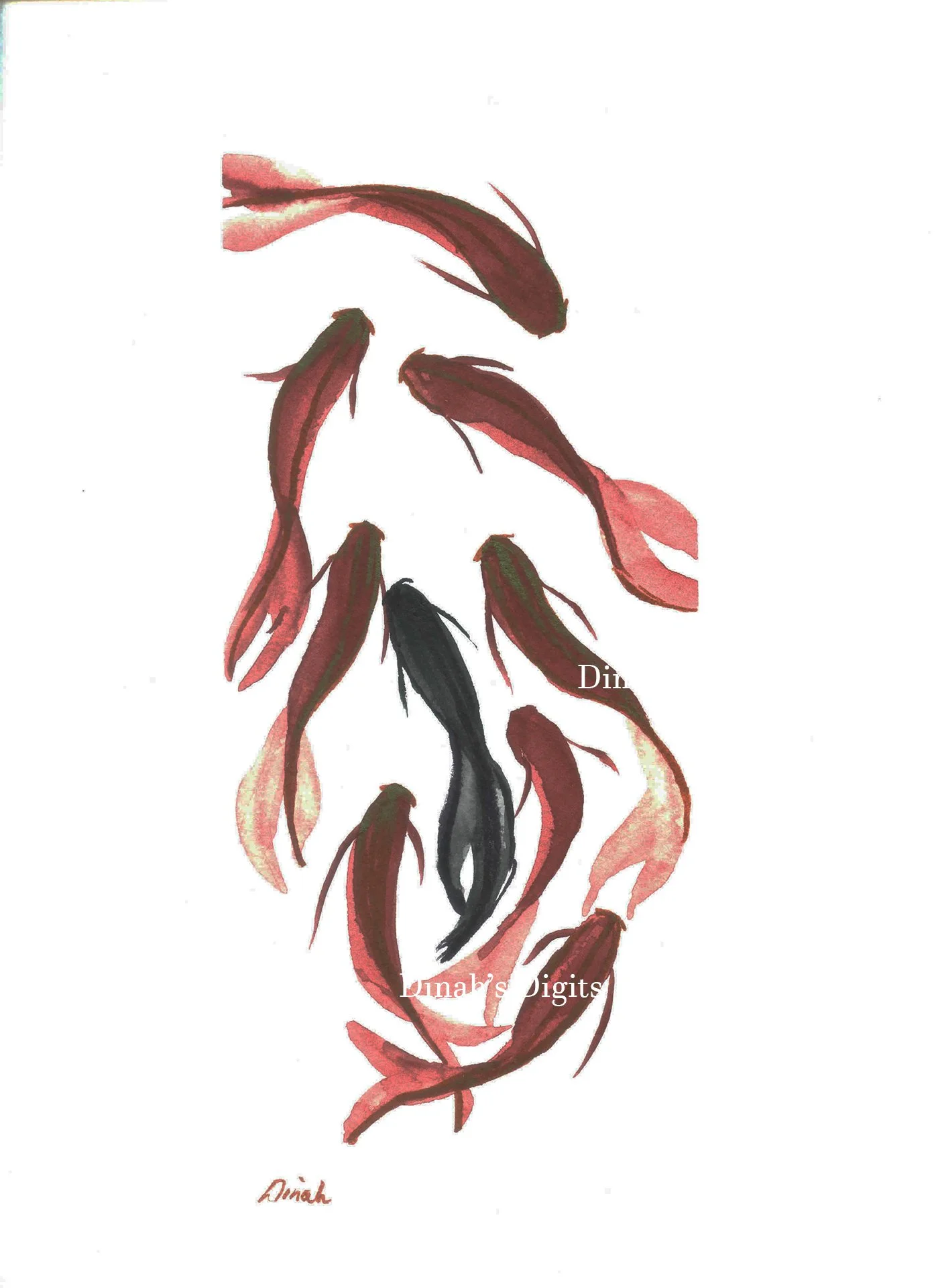Stewart- Stand Out Koi , 8 x 10  WM.jpg