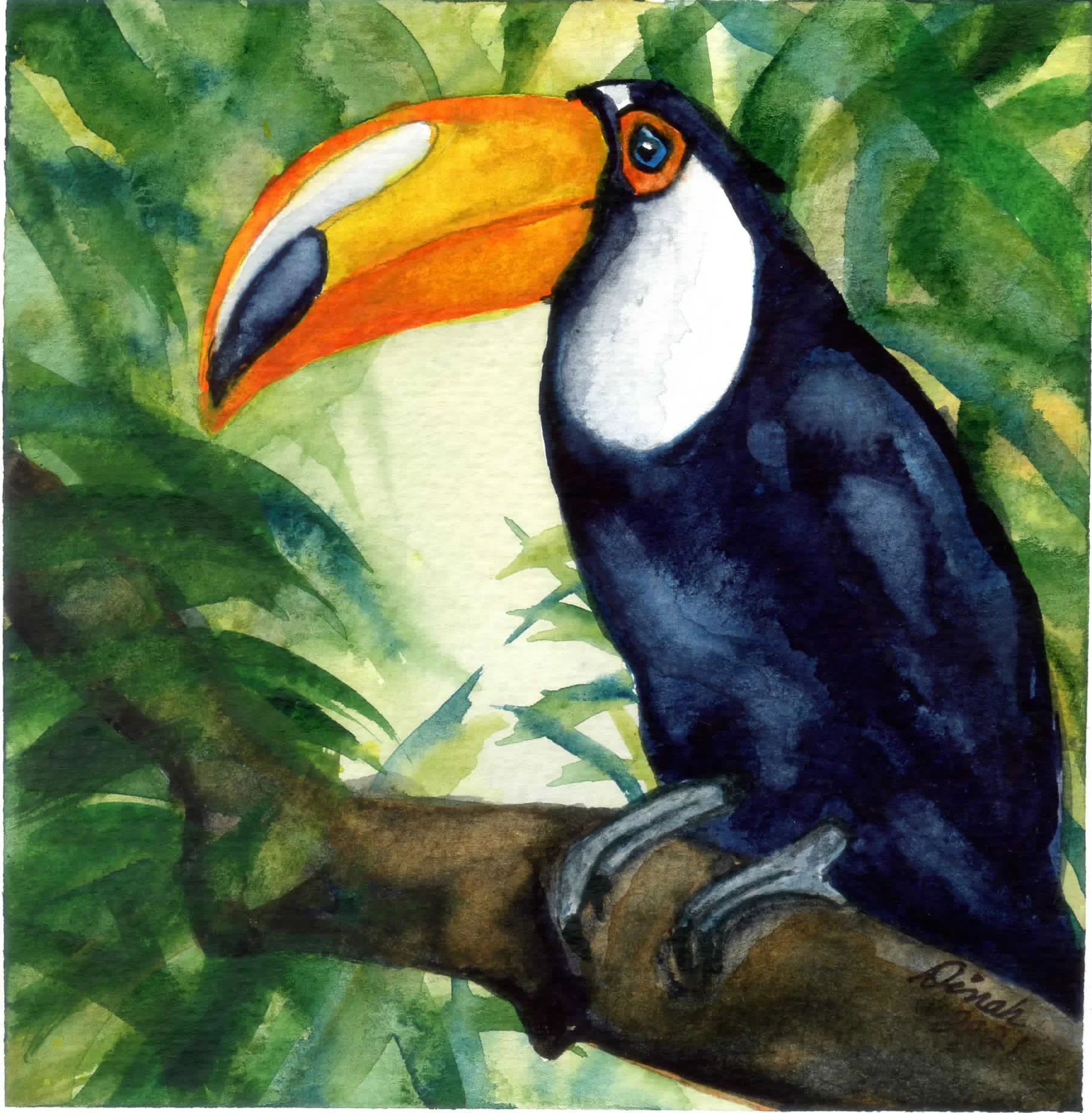 Toucan