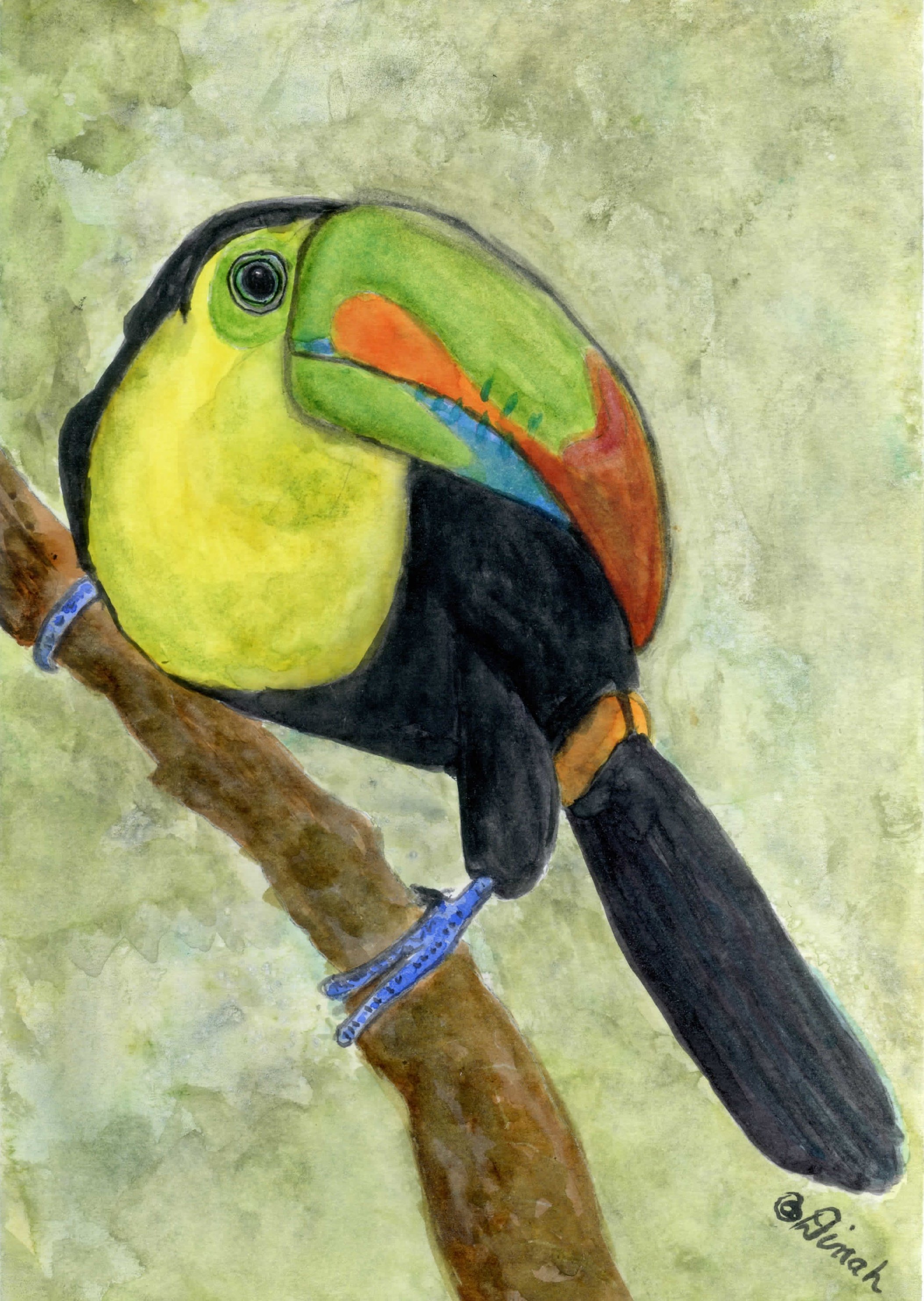Stewart-Toucan28Wx10H002.jpg