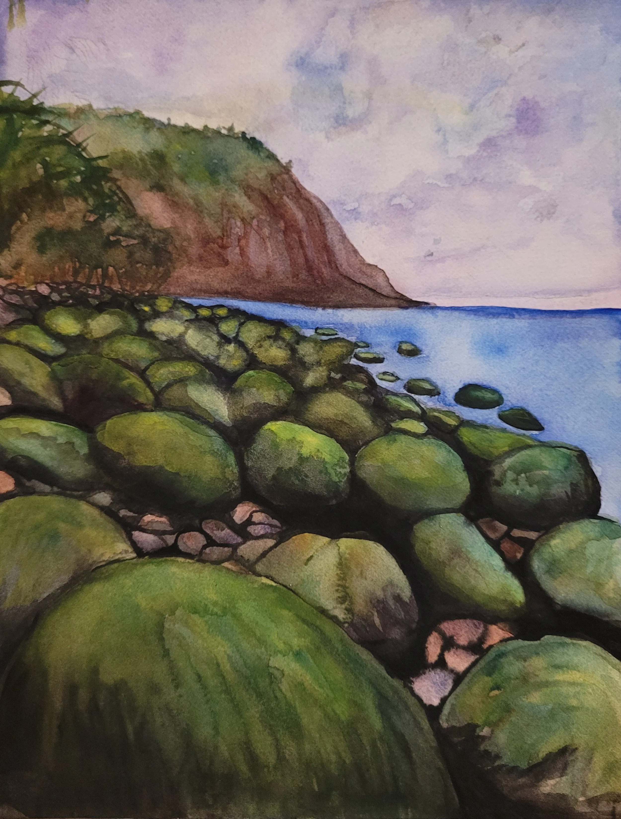 Round Rock Beach Kaulapapa