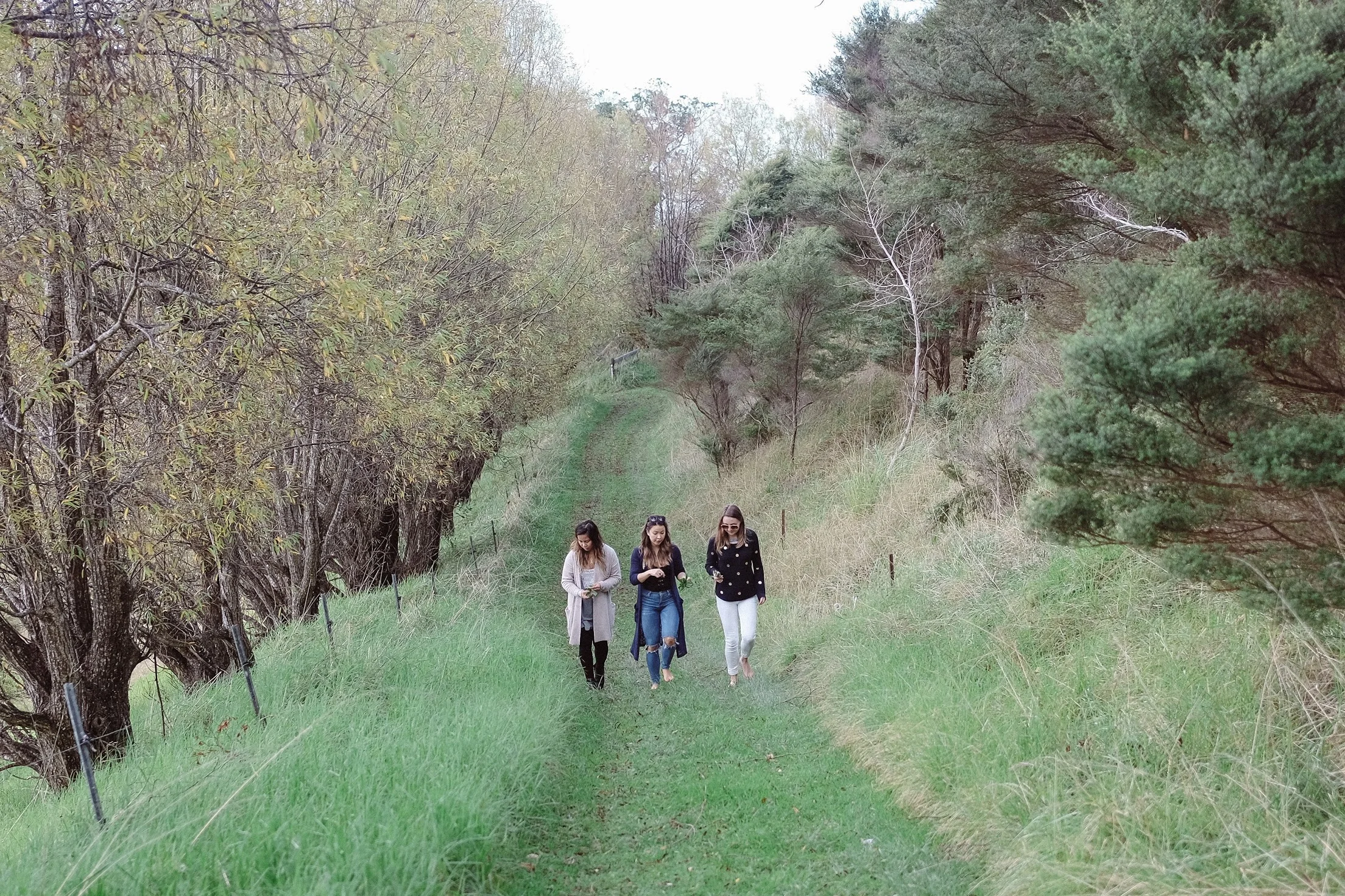 DSCF4531.JPG