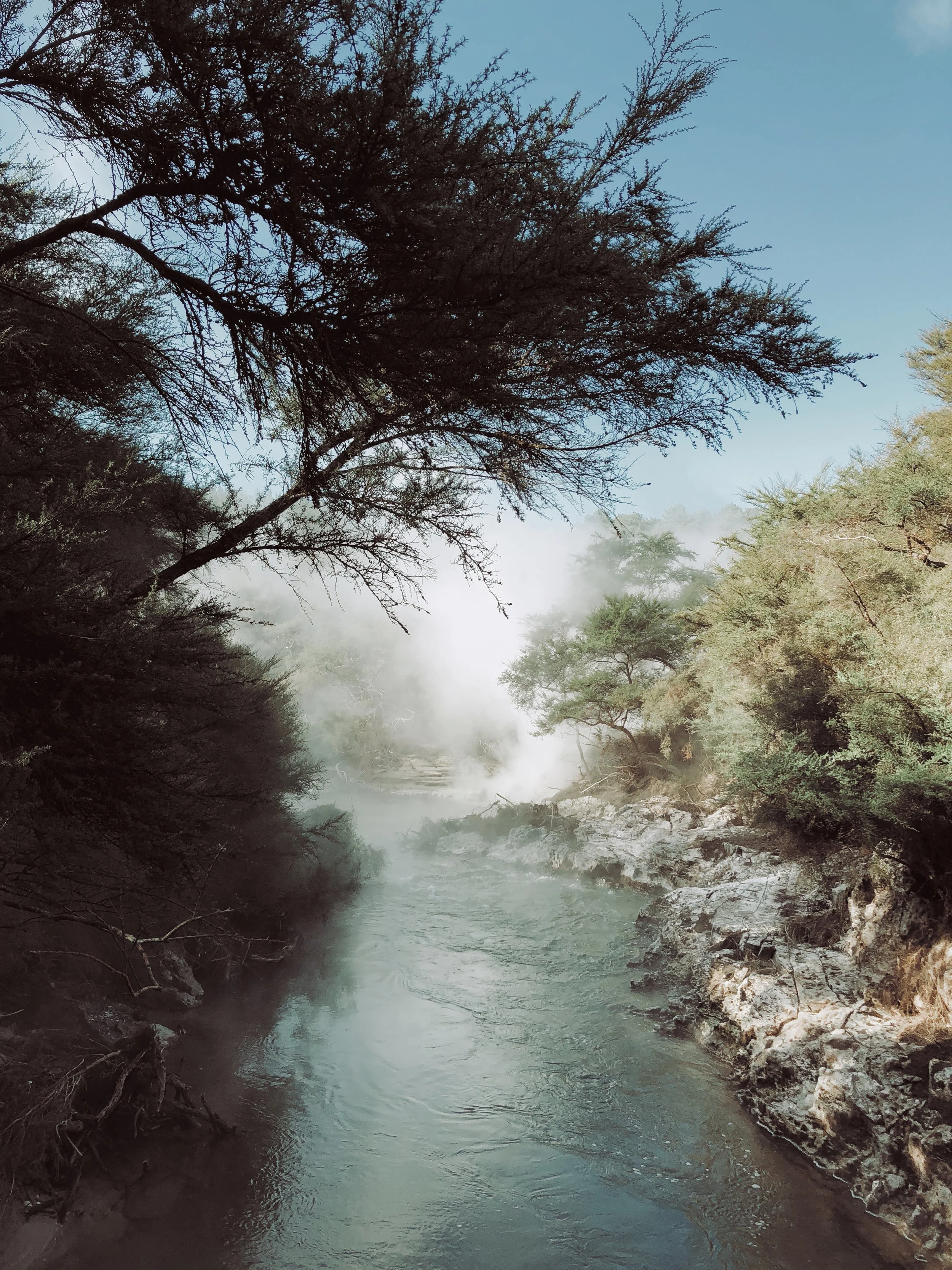 SUMMER DAY RETREAT &amp; NATURE IMMERSION WALK