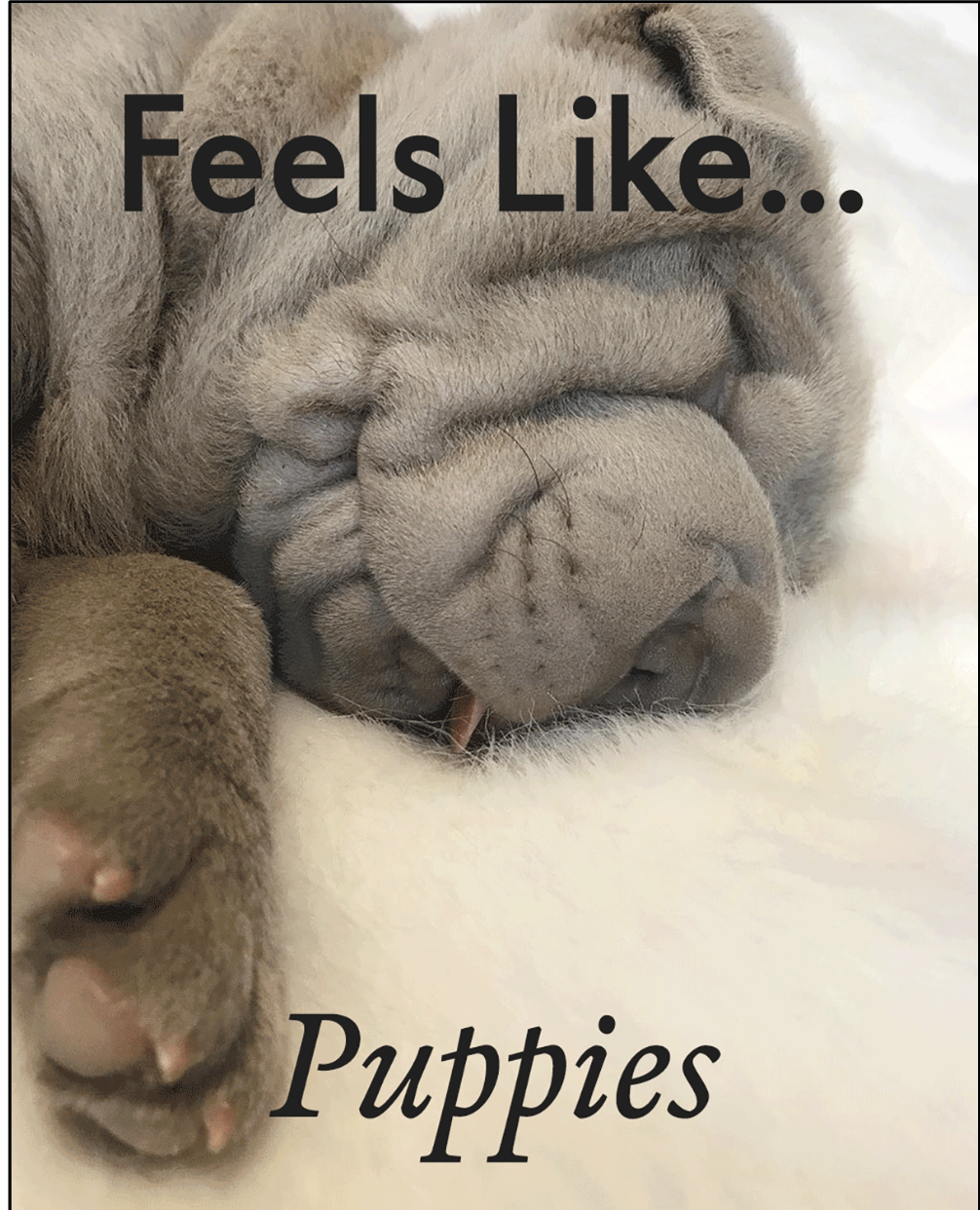 Feels Like Puppies.png