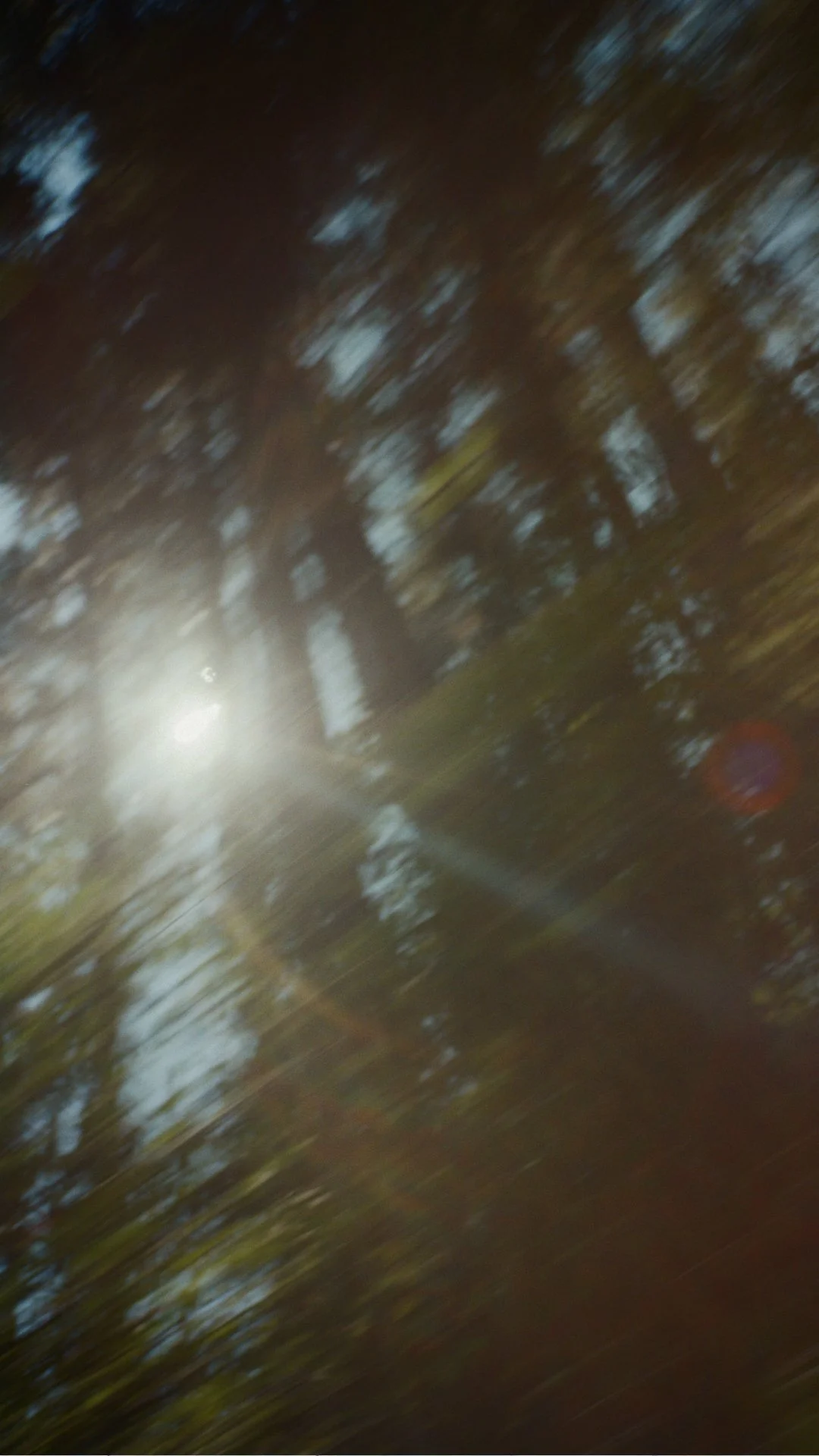 21Q4_trail-runner-swt_social-teaser_1080x1920_02 copy.jpg