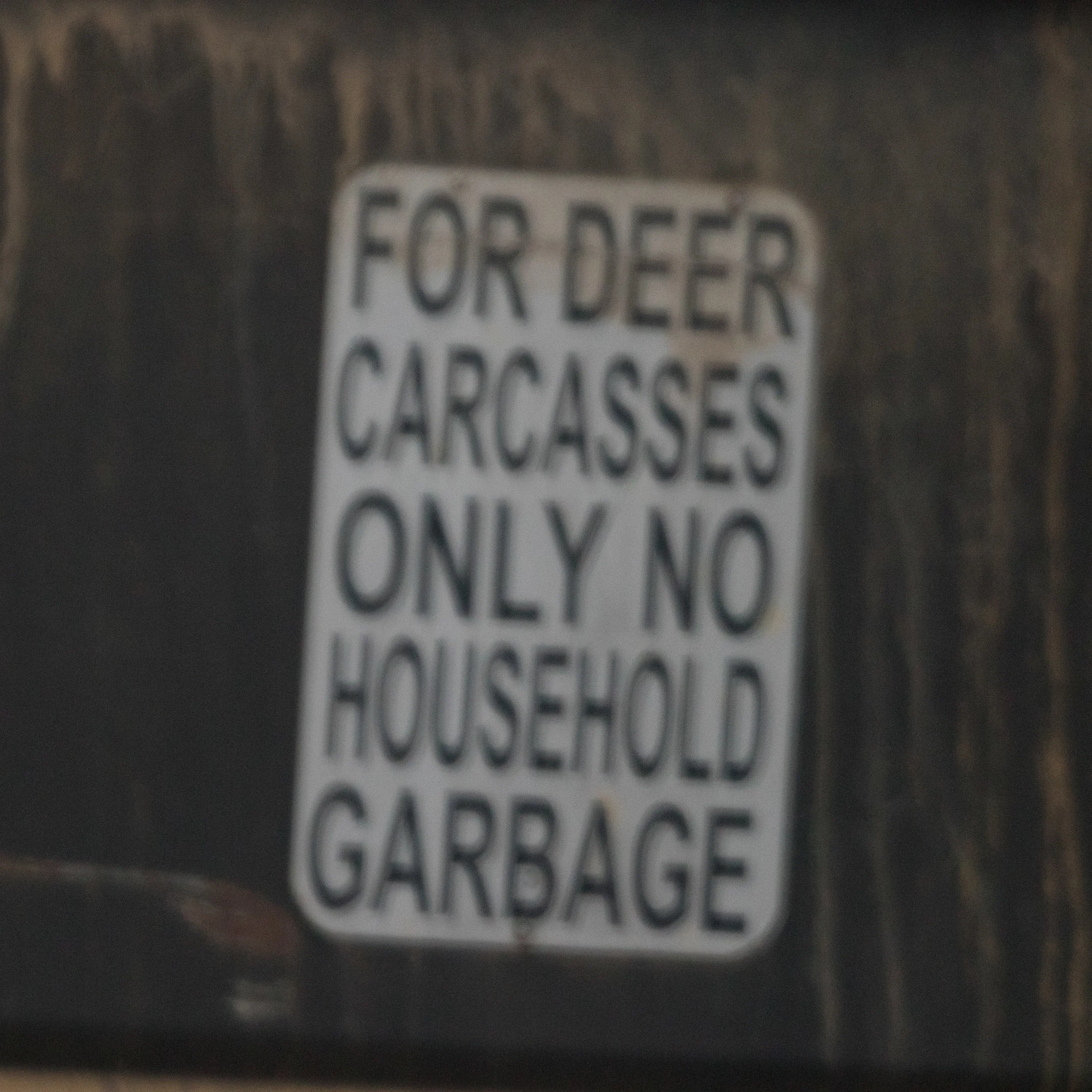 _W1A9133.jpg