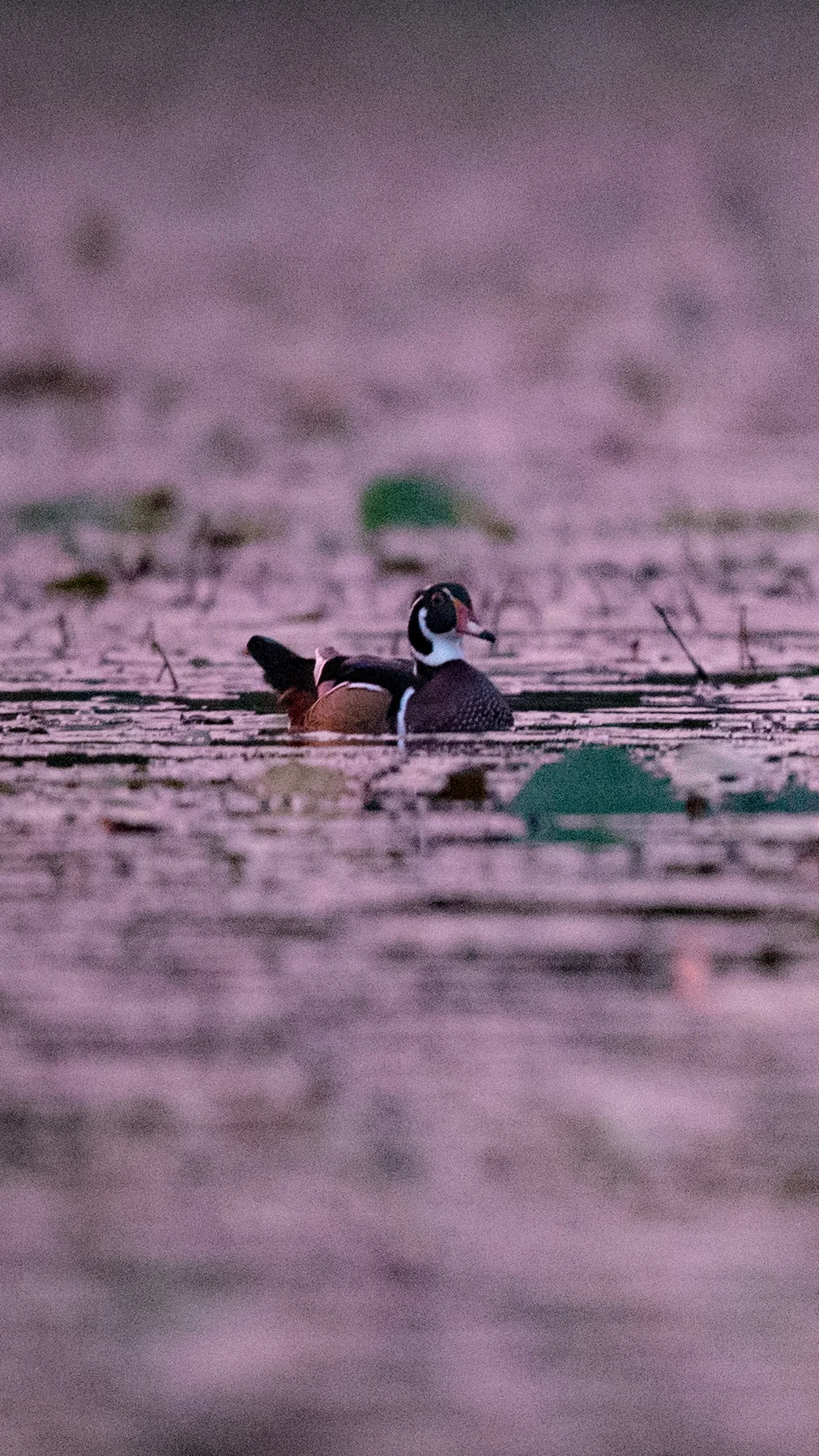 5 Untitled-1.jpg