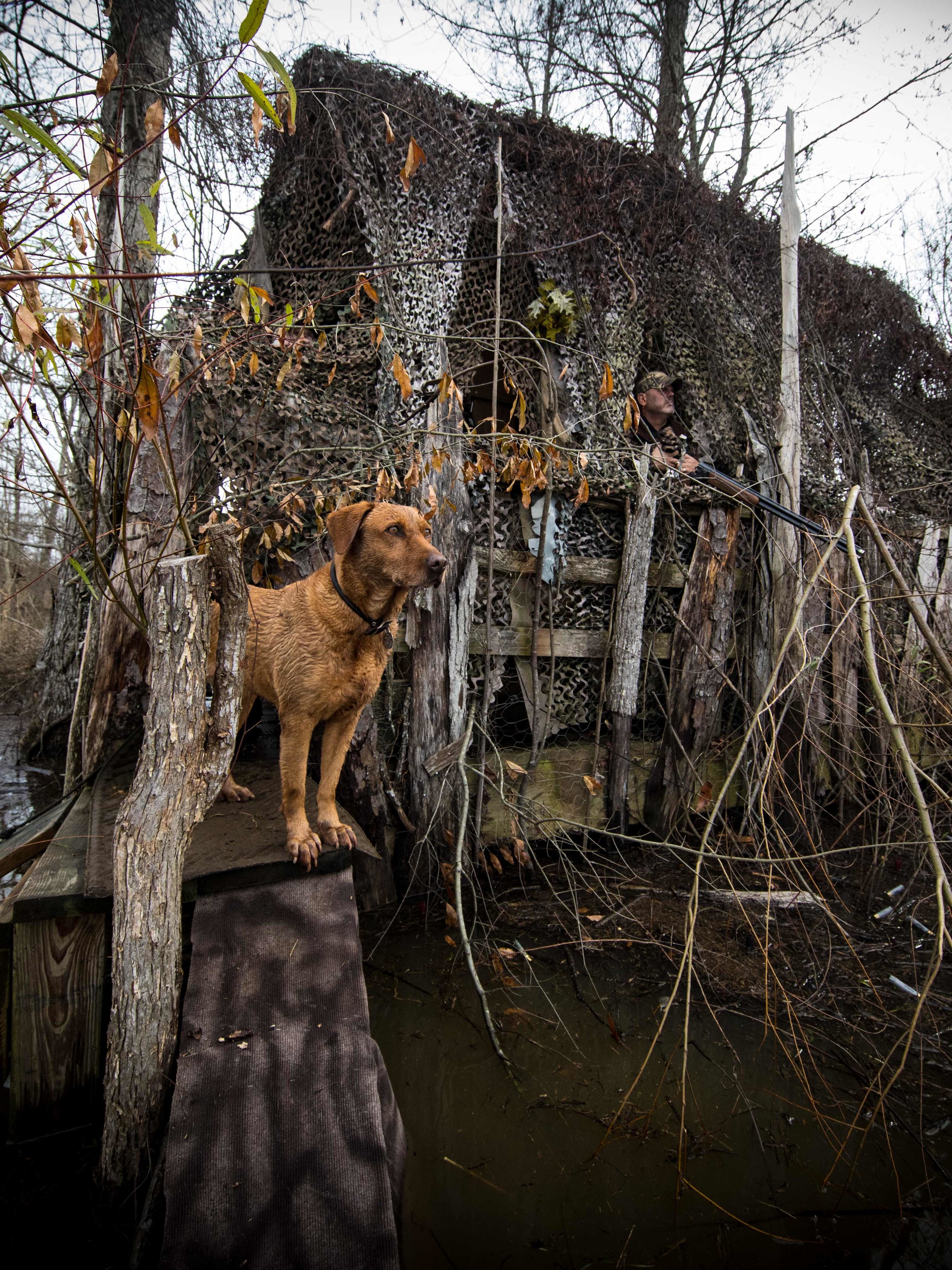20181212 wiley duckhunt _C6A0402.jpg