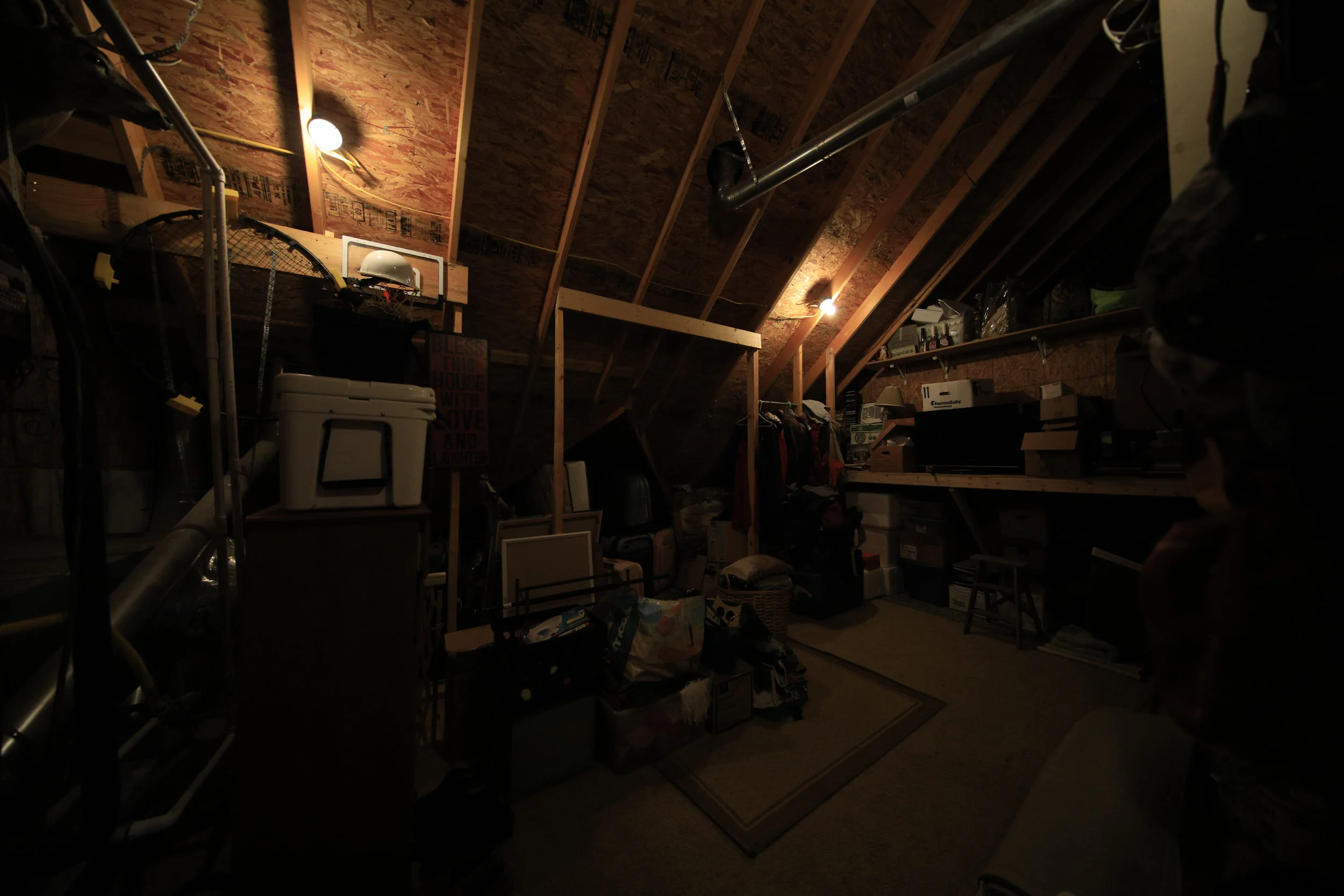 _C6A89882019-08-28 DAY LILLY NEW HOUSE PRE MOVE .JPG