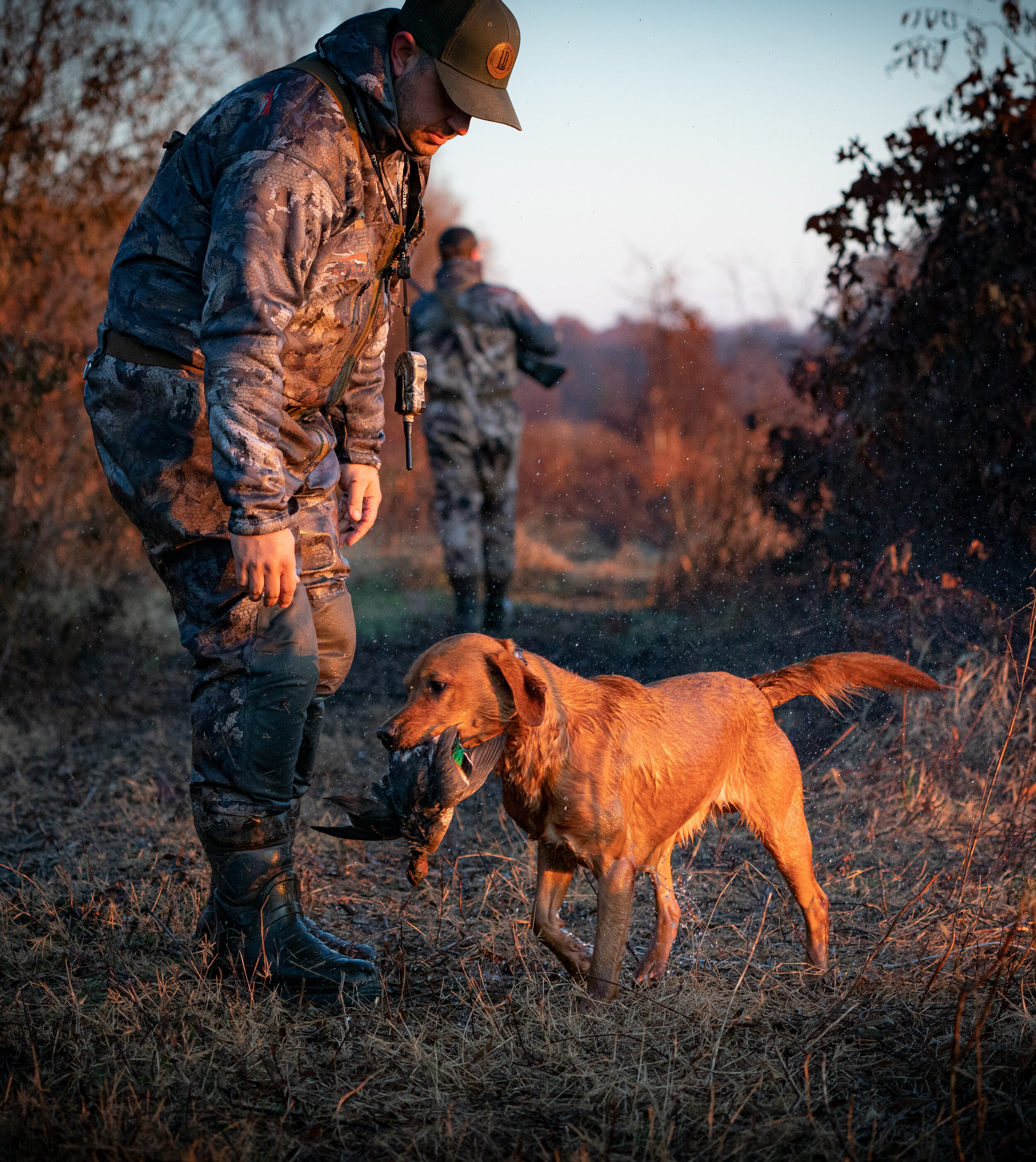 _A994922 scout.jpg