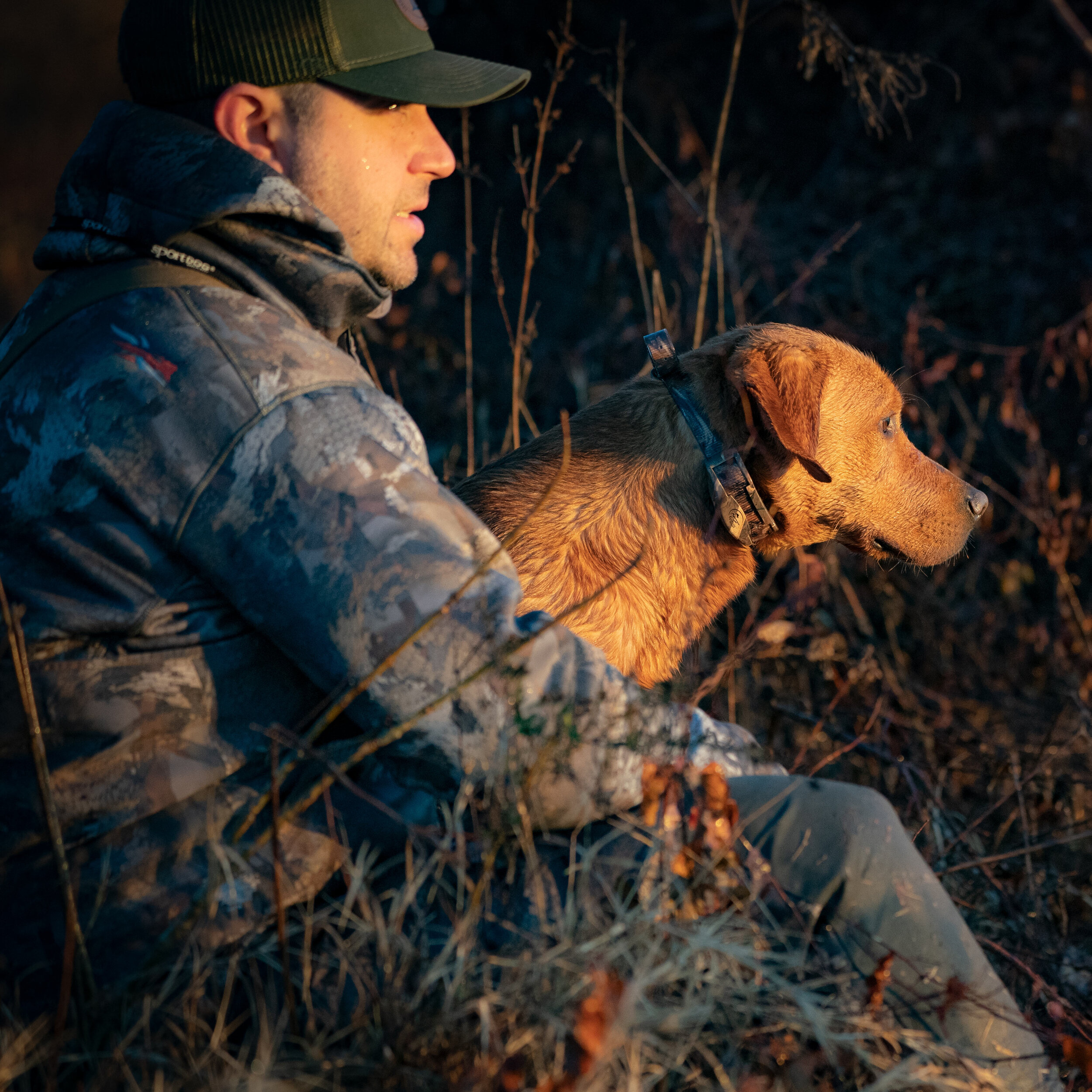 Scout_A995449.jpg