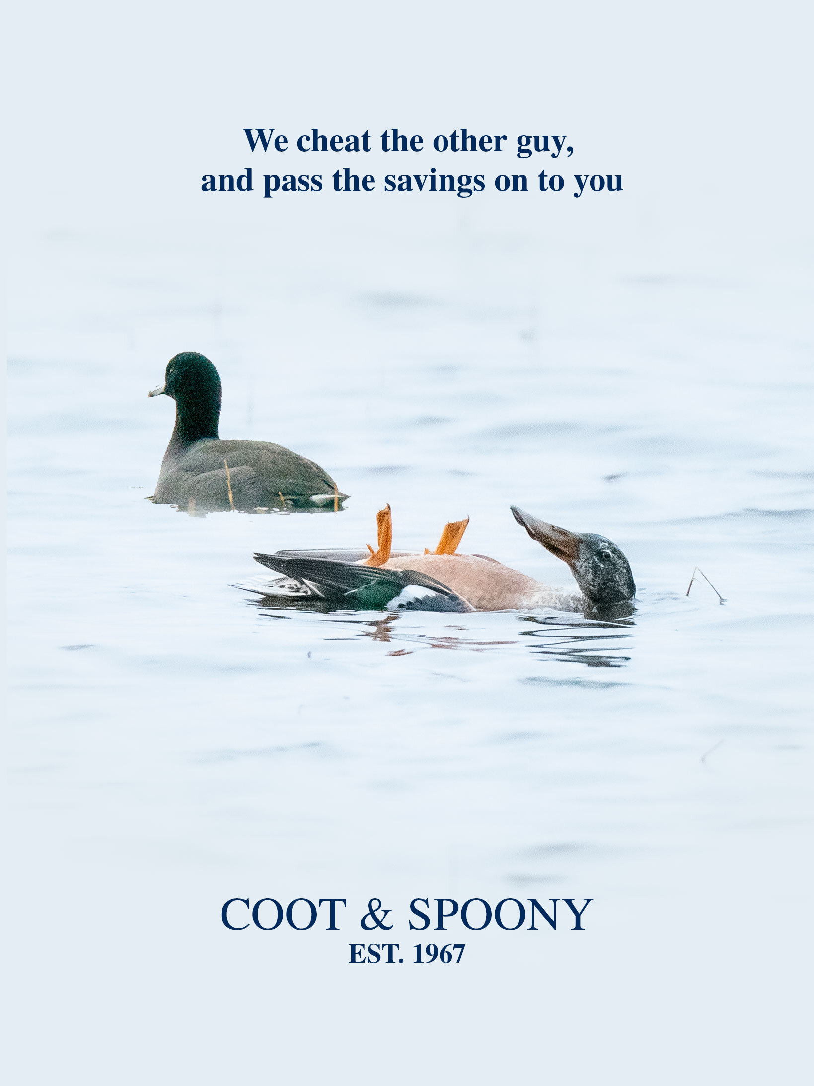 COOT AND SPOONIE CATALOG COVER.jpg