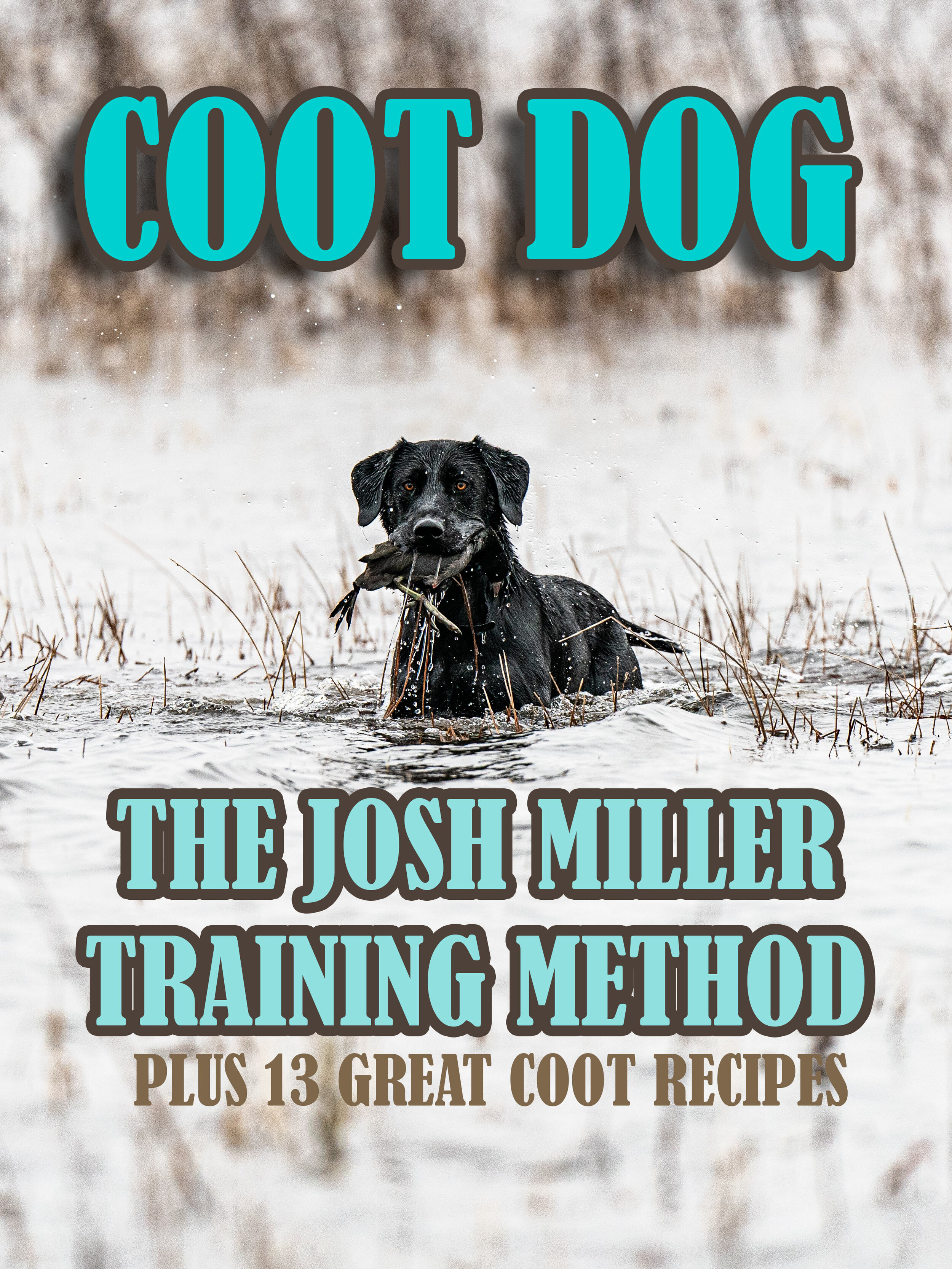 coot dog.jpg