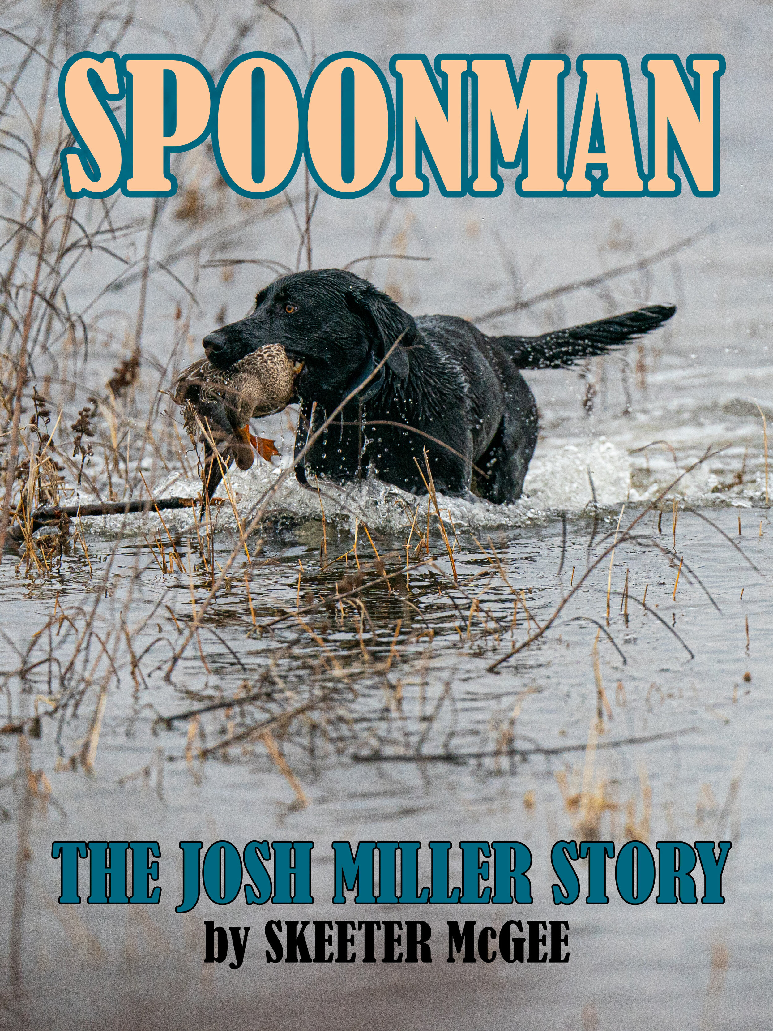 SPOONMAN _A990344.jpg