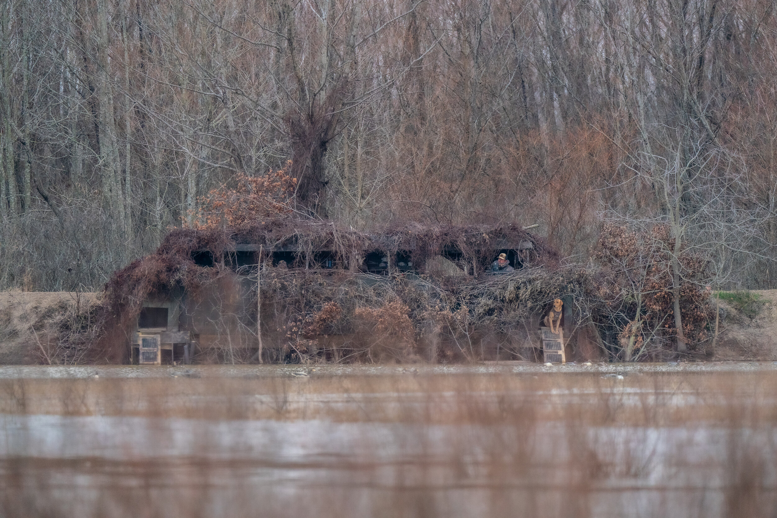 _A995620 duckblind.jpg