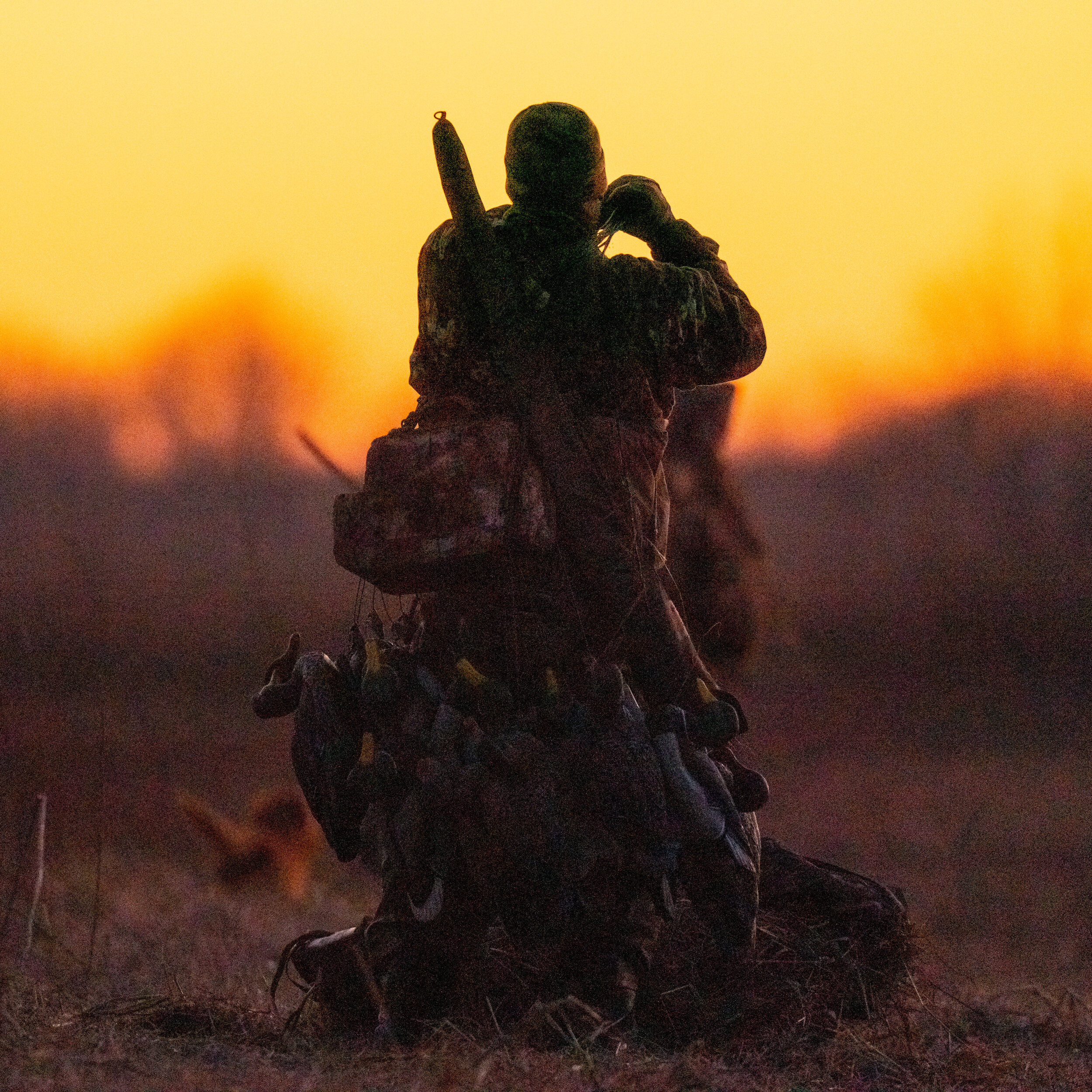 _A995442-square sunset steve.jpg