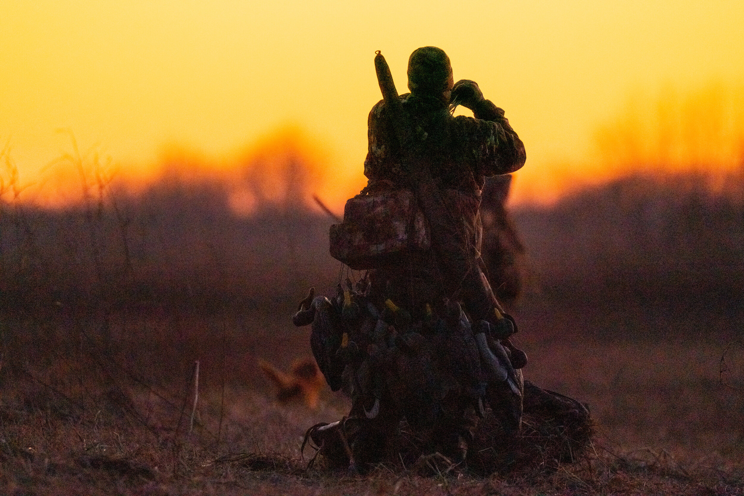 _A995442-full size sunset steve.jpg