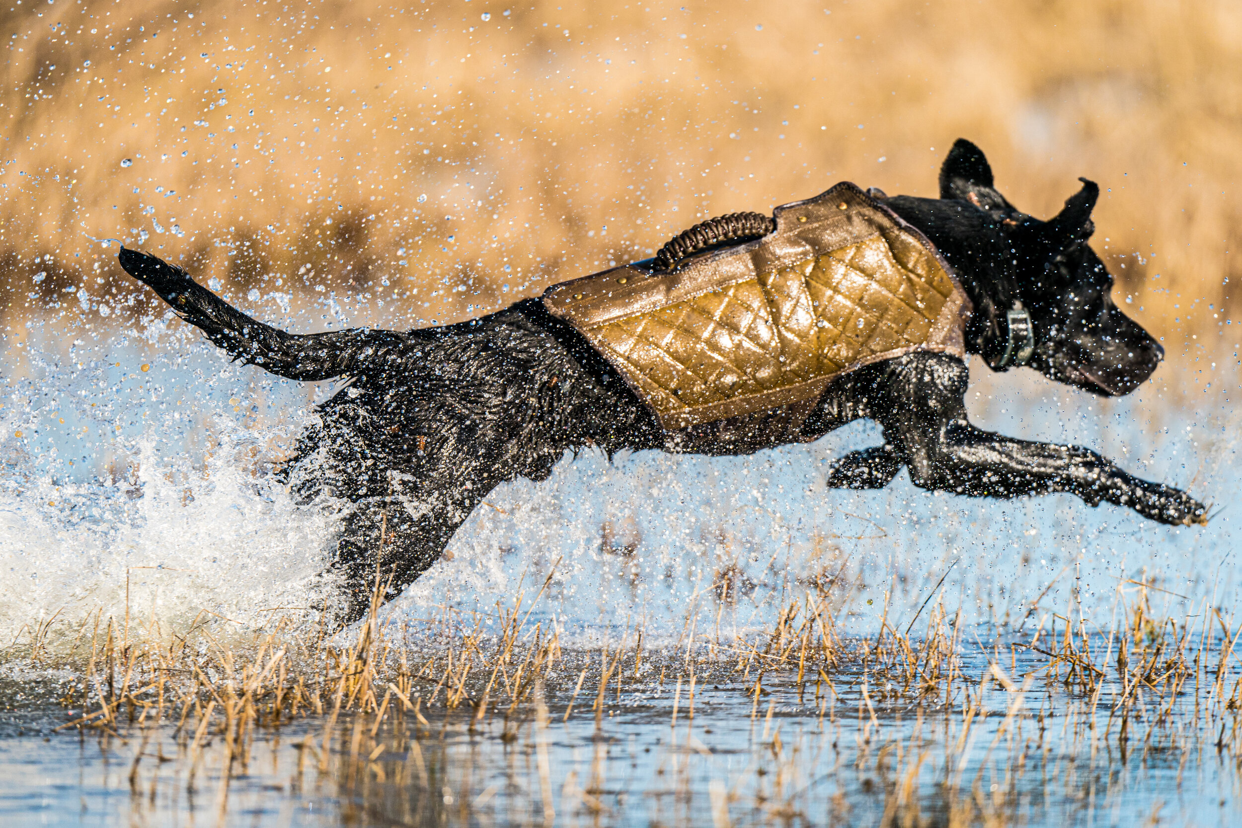 _A990623 great rig em right vest product pix.jpg