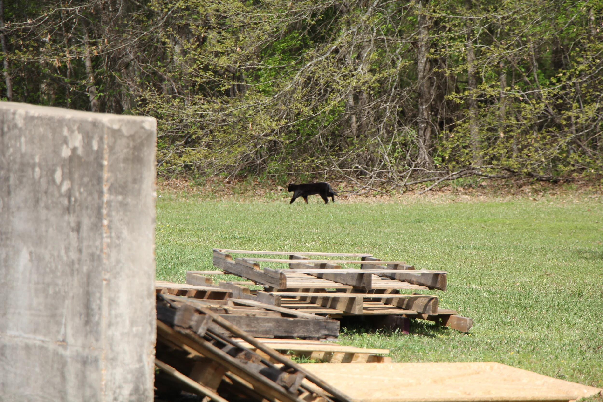 2018-04-02 gds 312bldg preMATH IMG_3793.JPG