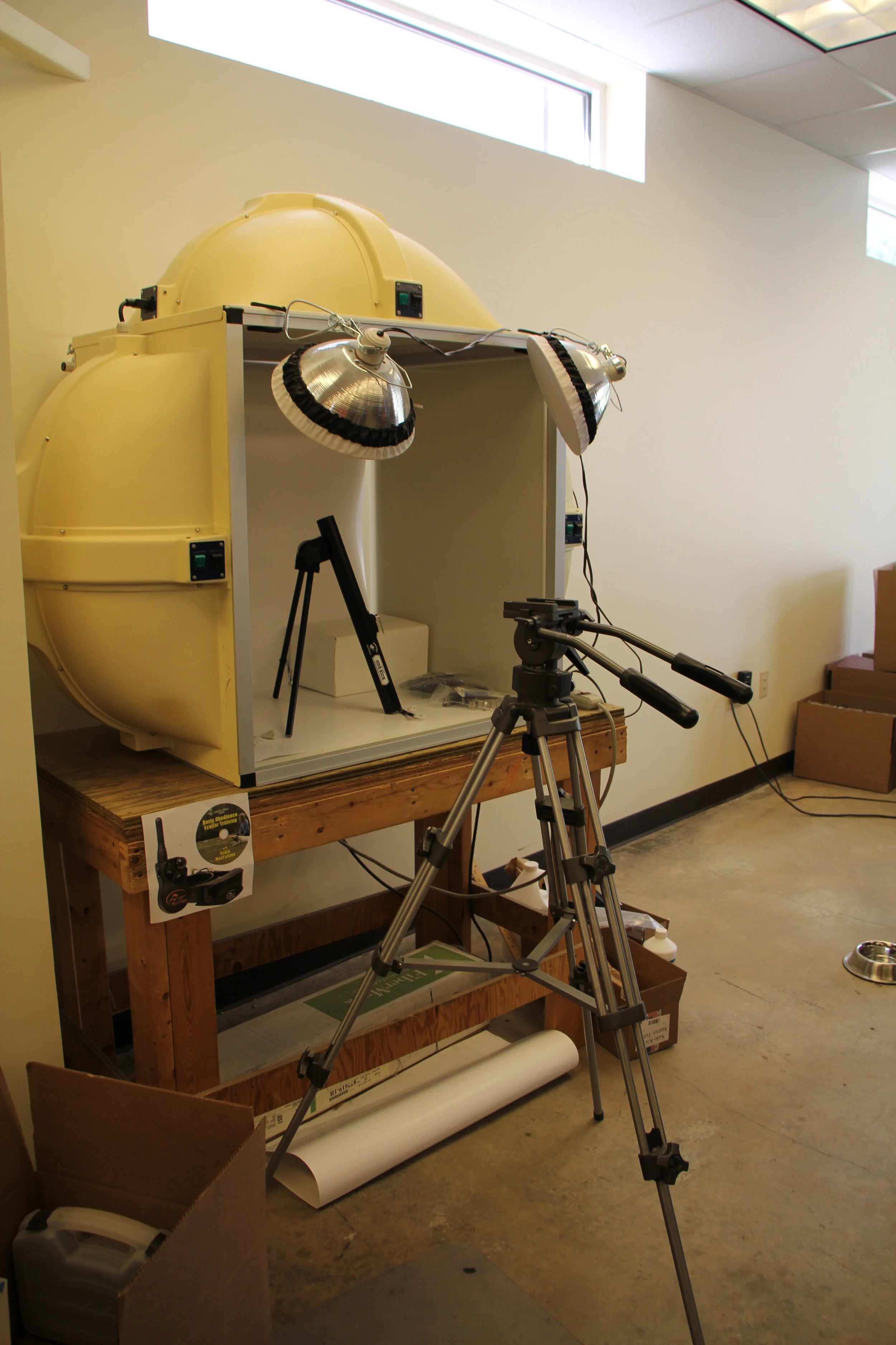 2018-04-02 gds 312bldg preMATH IMG_3810.JPG