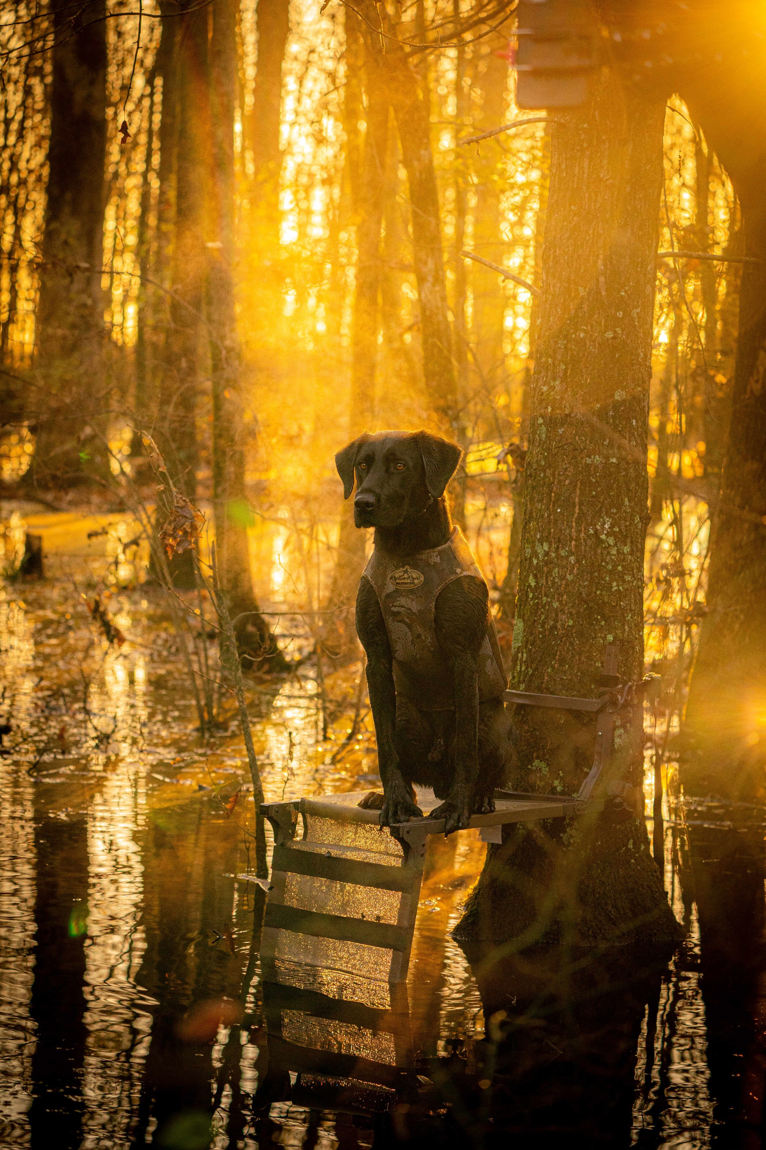 KEEPER _A991038-full.jpg