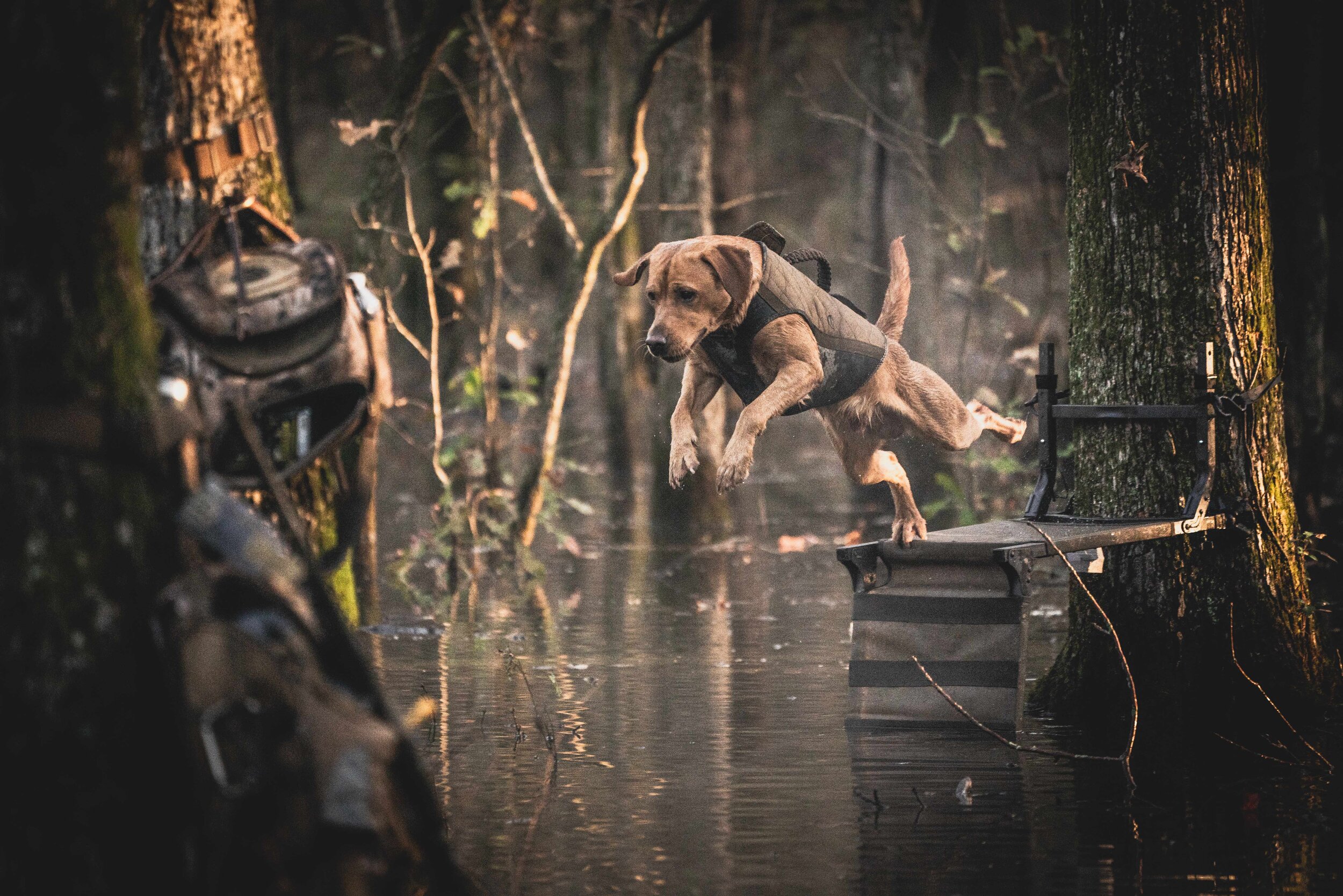 scout dives off platform_A990778.jpg