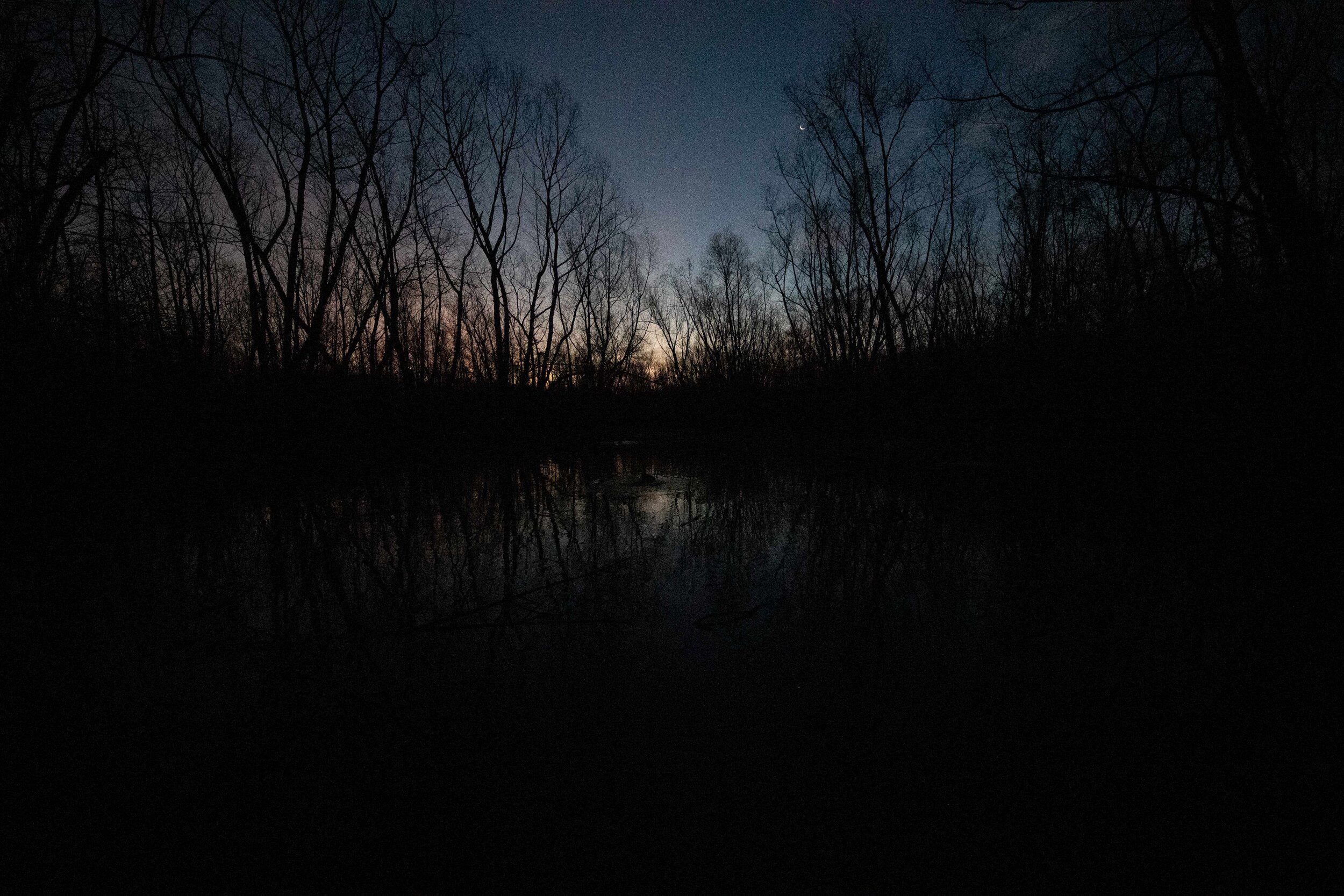 2020-12-11 fri CV8I4682.jpg
