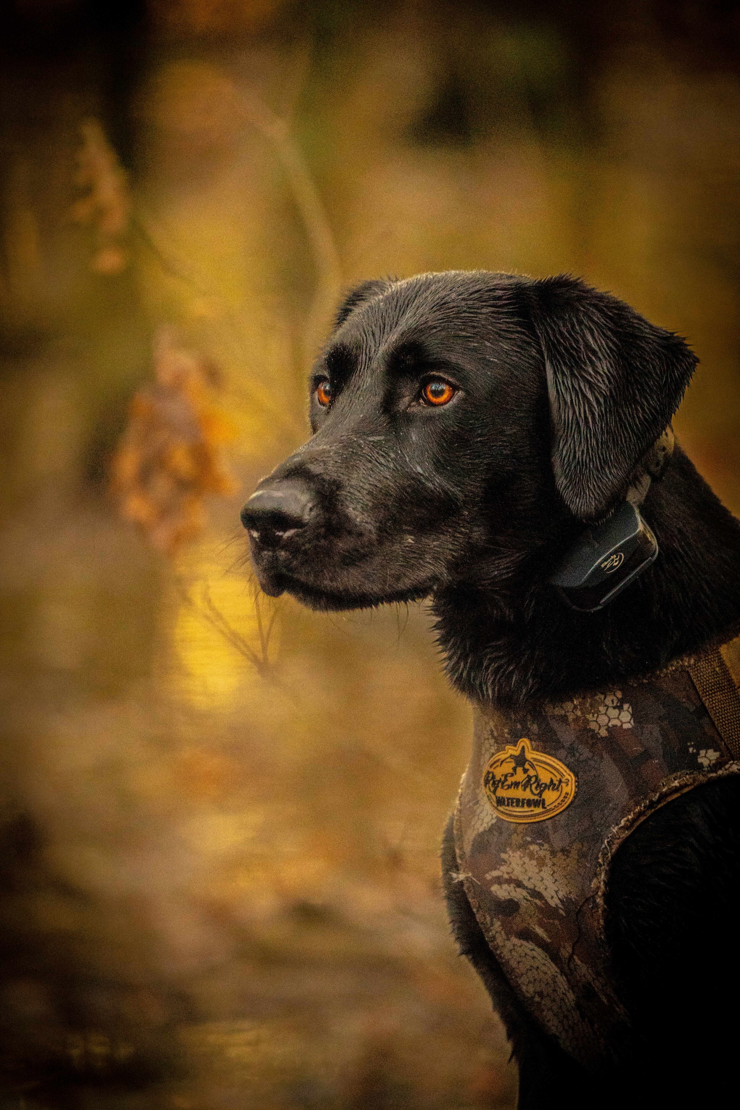 2020-11-23 _A990543 -- BUD -- .jpg