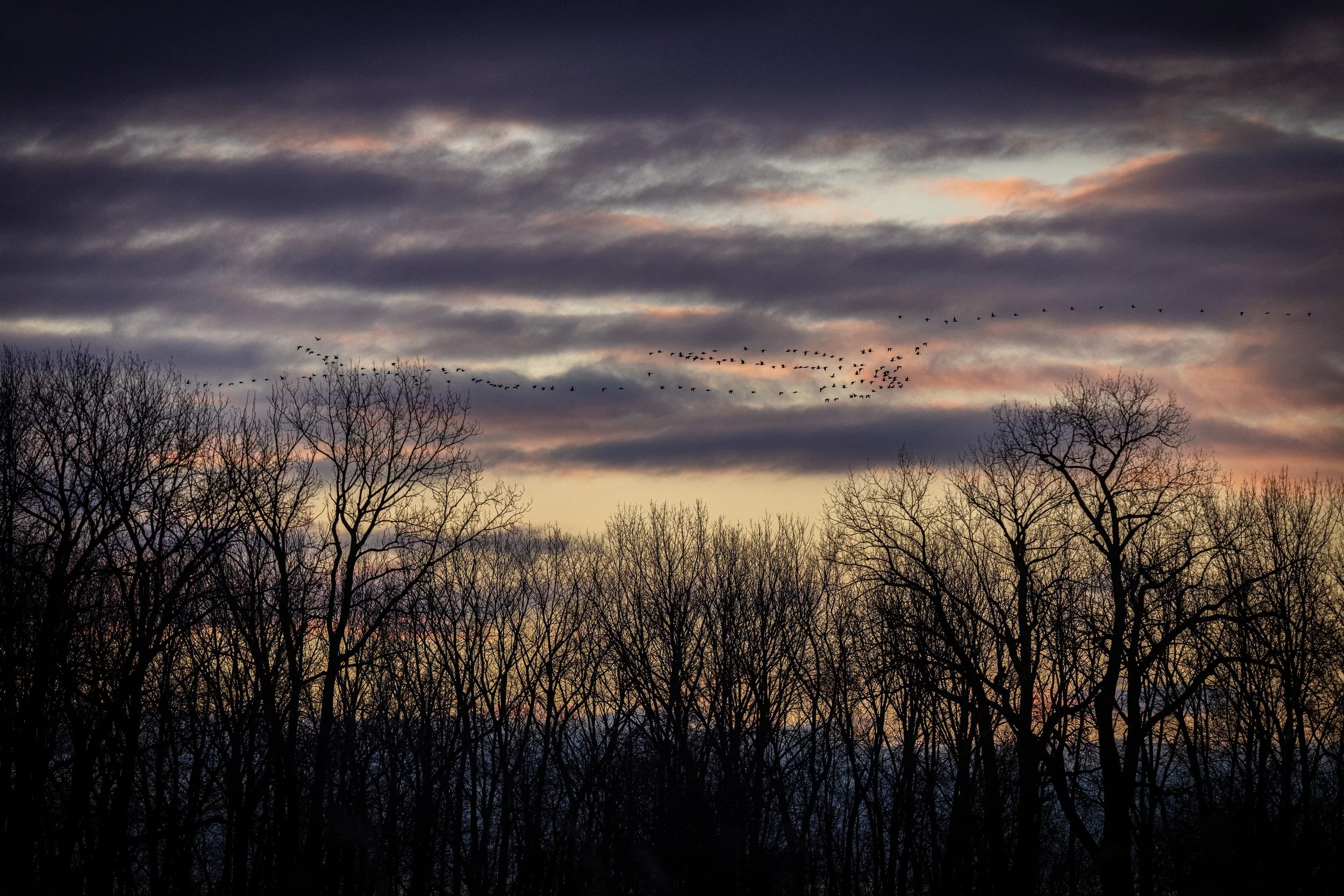 ND2_5741 -- scenery.jpg