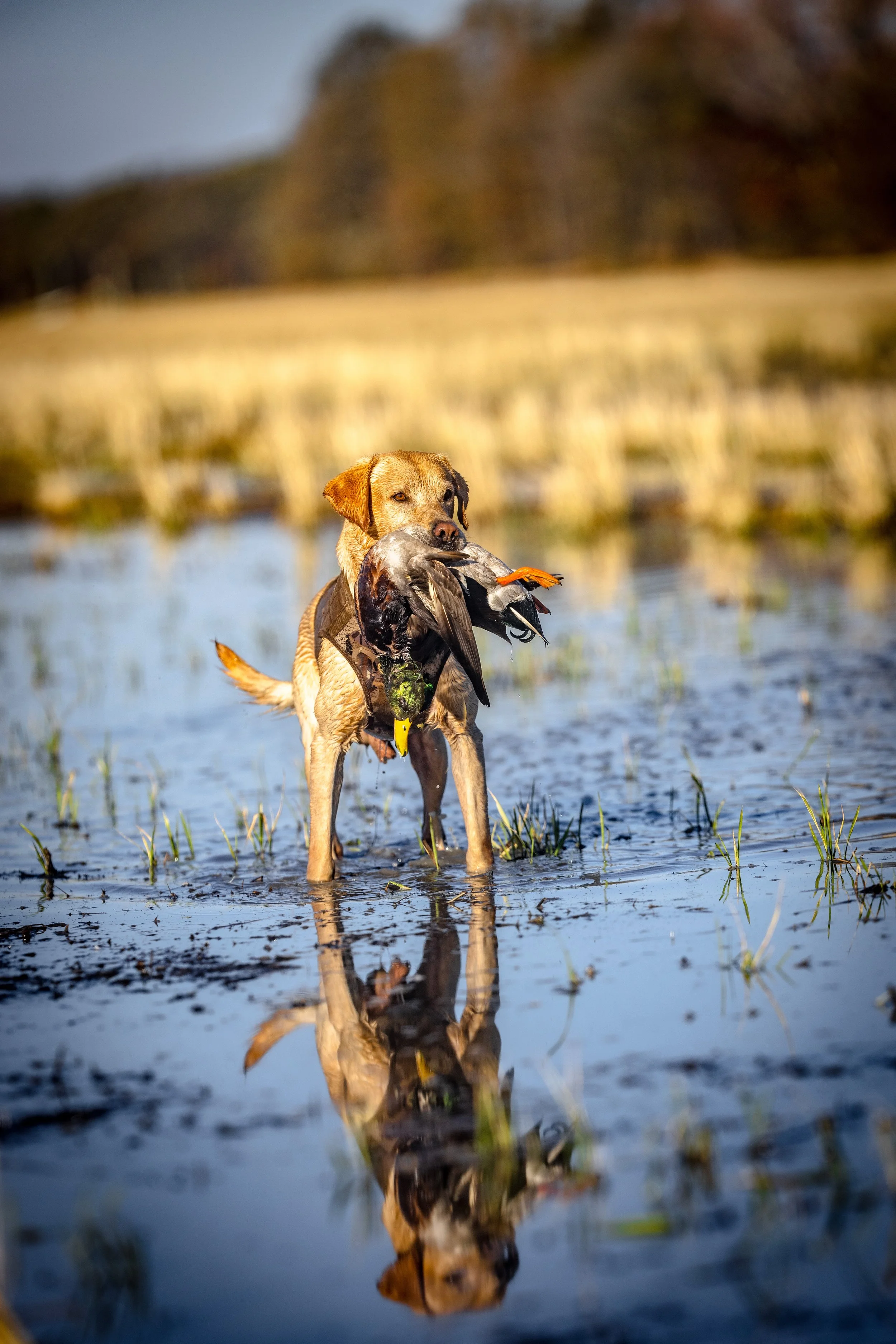 2023.11.22 day 5 jsh strk nick MUD PITT -- ND2_0562-Recovered.jpg