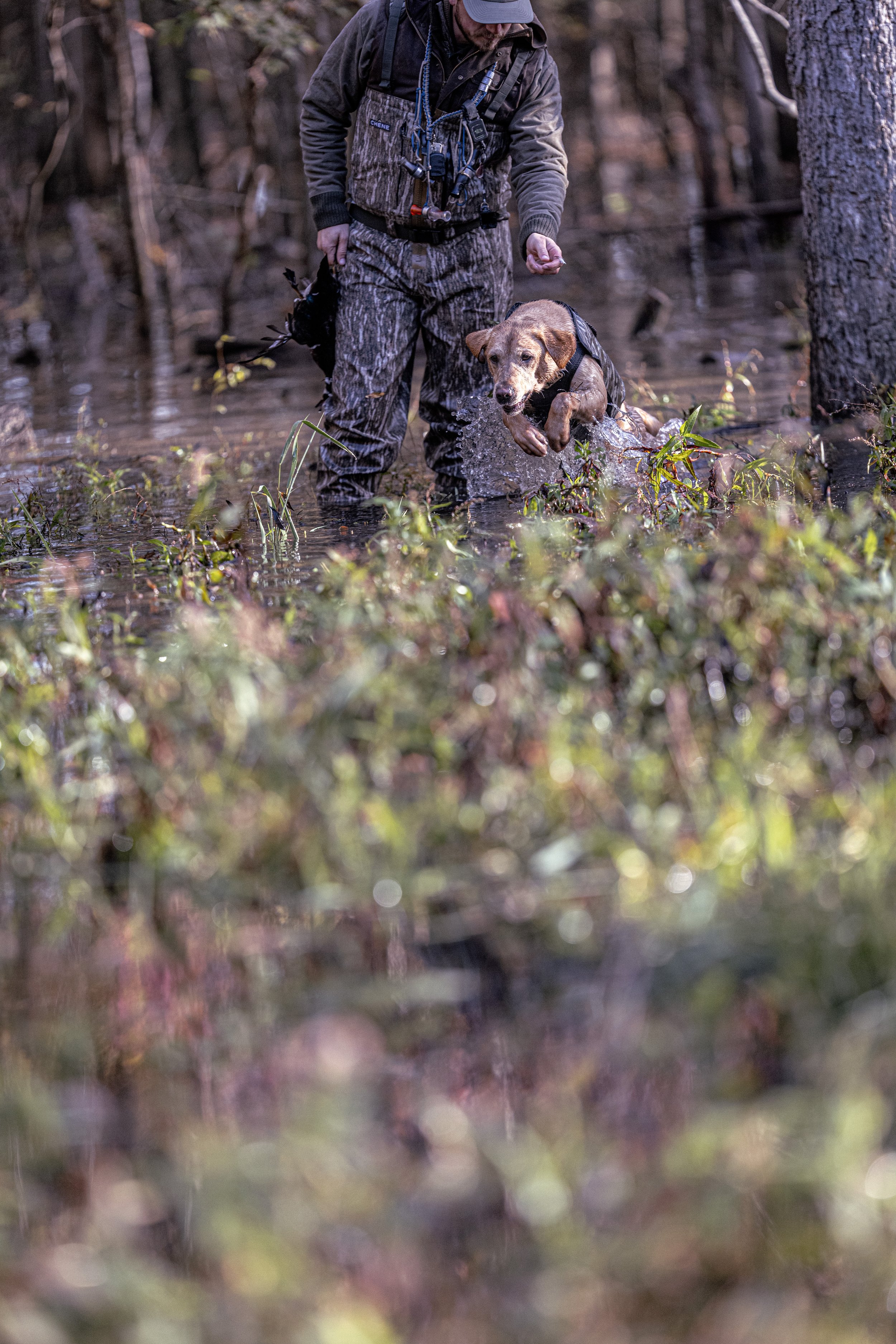 2024-11-24 AR DAY2 NICK JOSH WHIT MILLIE TUCKER ND2_5731-2.jpg