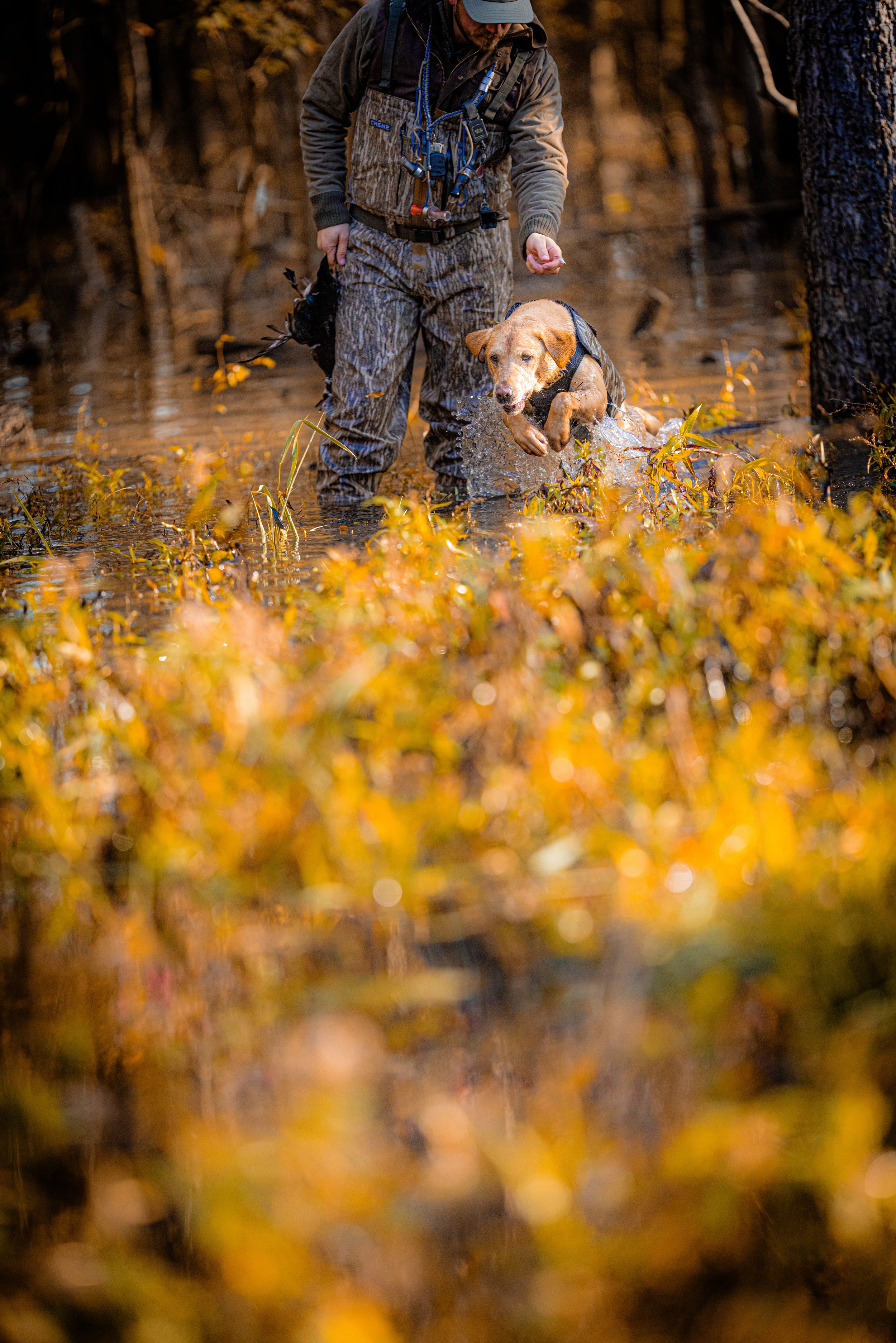 YELLOW 2024-11-24 AR DAY2 NICK JOSH WHIT MILLIE TUCKER ND2_5731-3.jpg